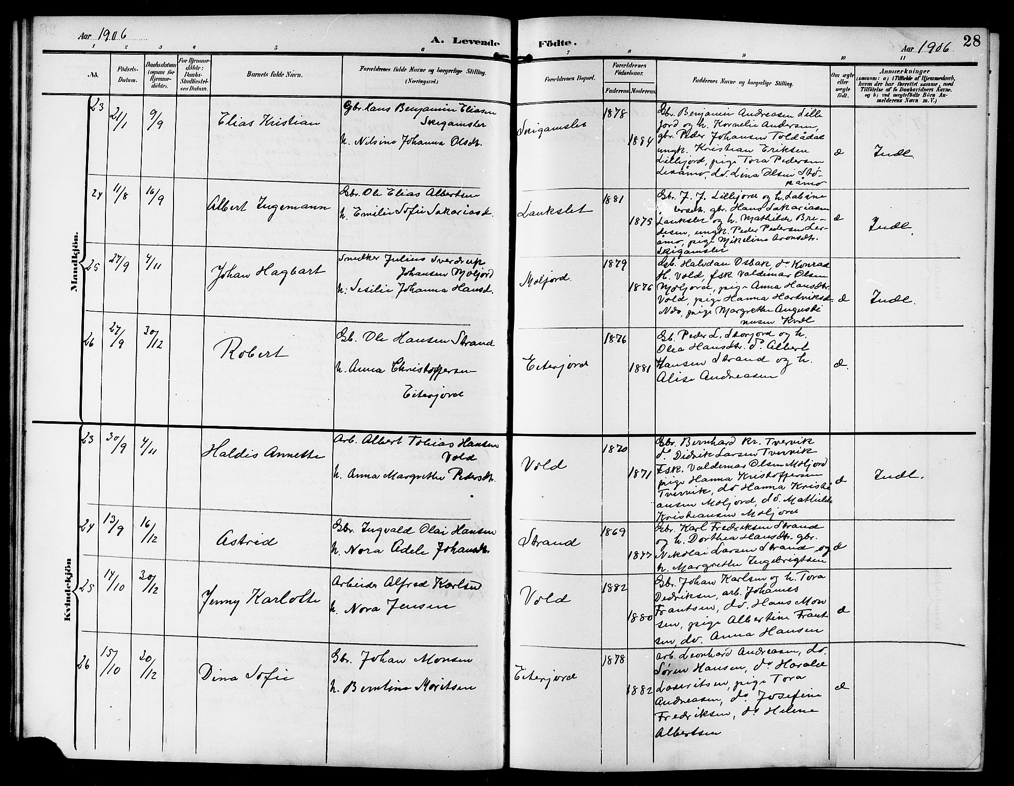 Ministerialprotokoller, klokkerbøker og fødselsregistre - Nordland, AV/SAT-A-1459/846/L0655: Parish register (copy) no. 846C05, 1902-1916, p. 28