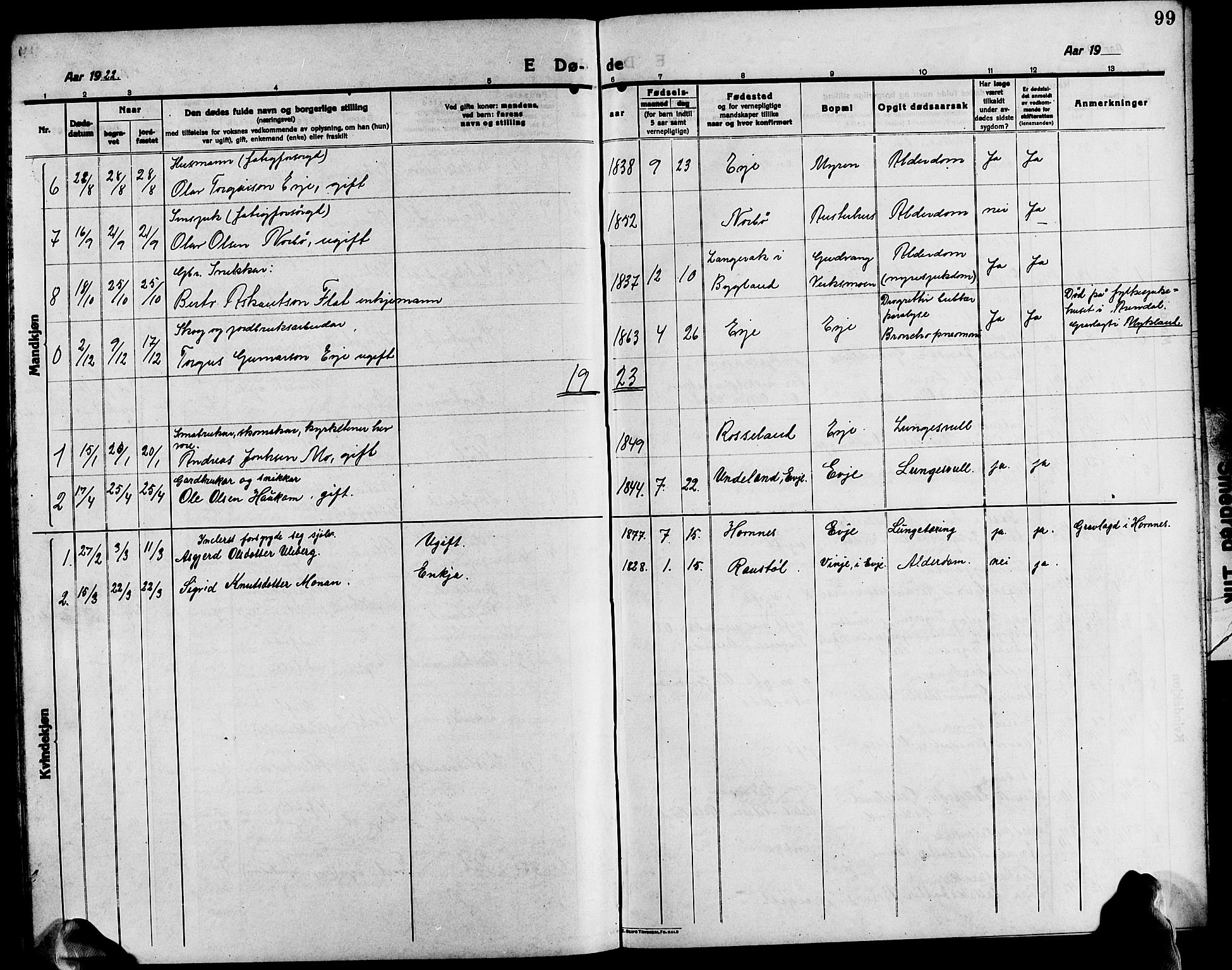 Evje sokneprestkontor, SAK/1111-0008/F/Fb/Fba/L0005: Parish register (copy) no. B 5, 1914-1926, p. 99