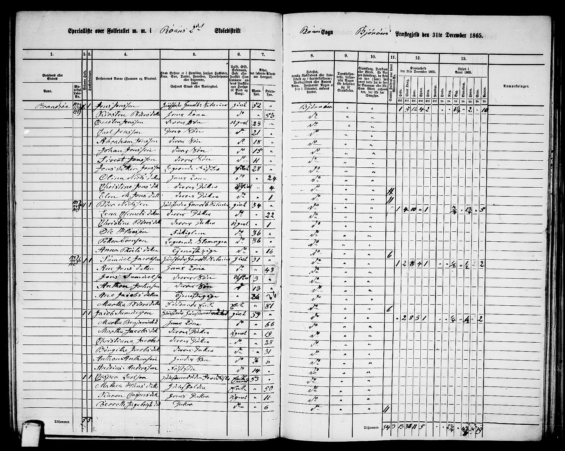 RA, 1865 census for Bjørnør, 1865, p. 105