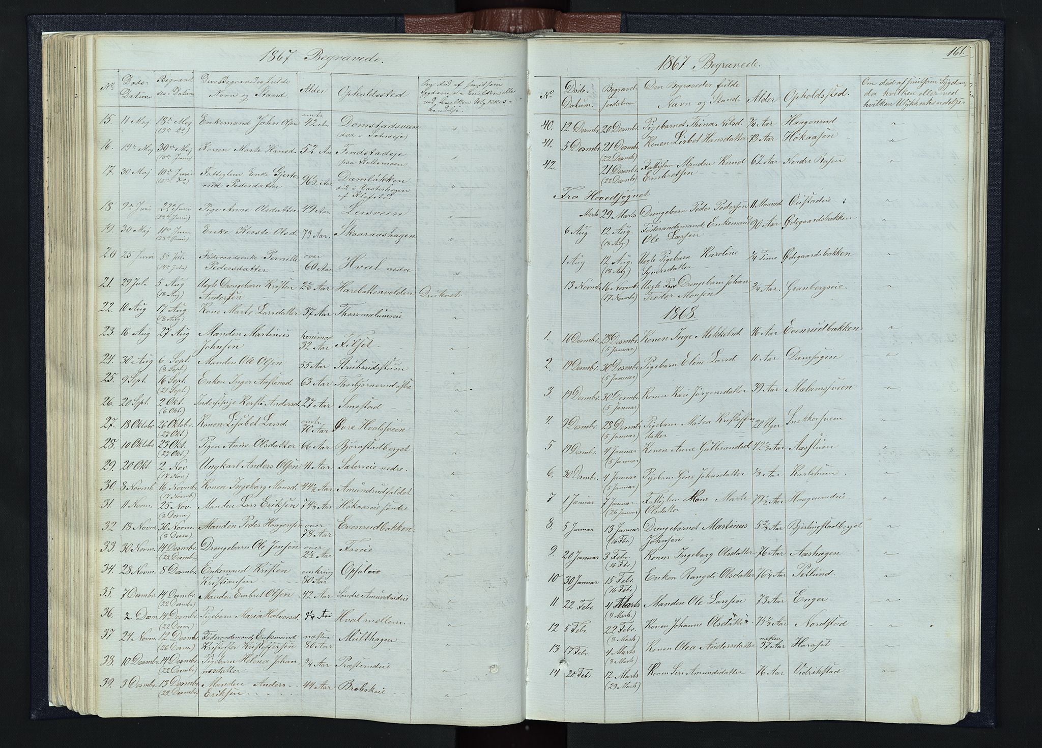 Romedal prestekontor, SAH/PREST-004/L/L0010: Parish register (copy) no. 10, 1860-1895, p. 161
