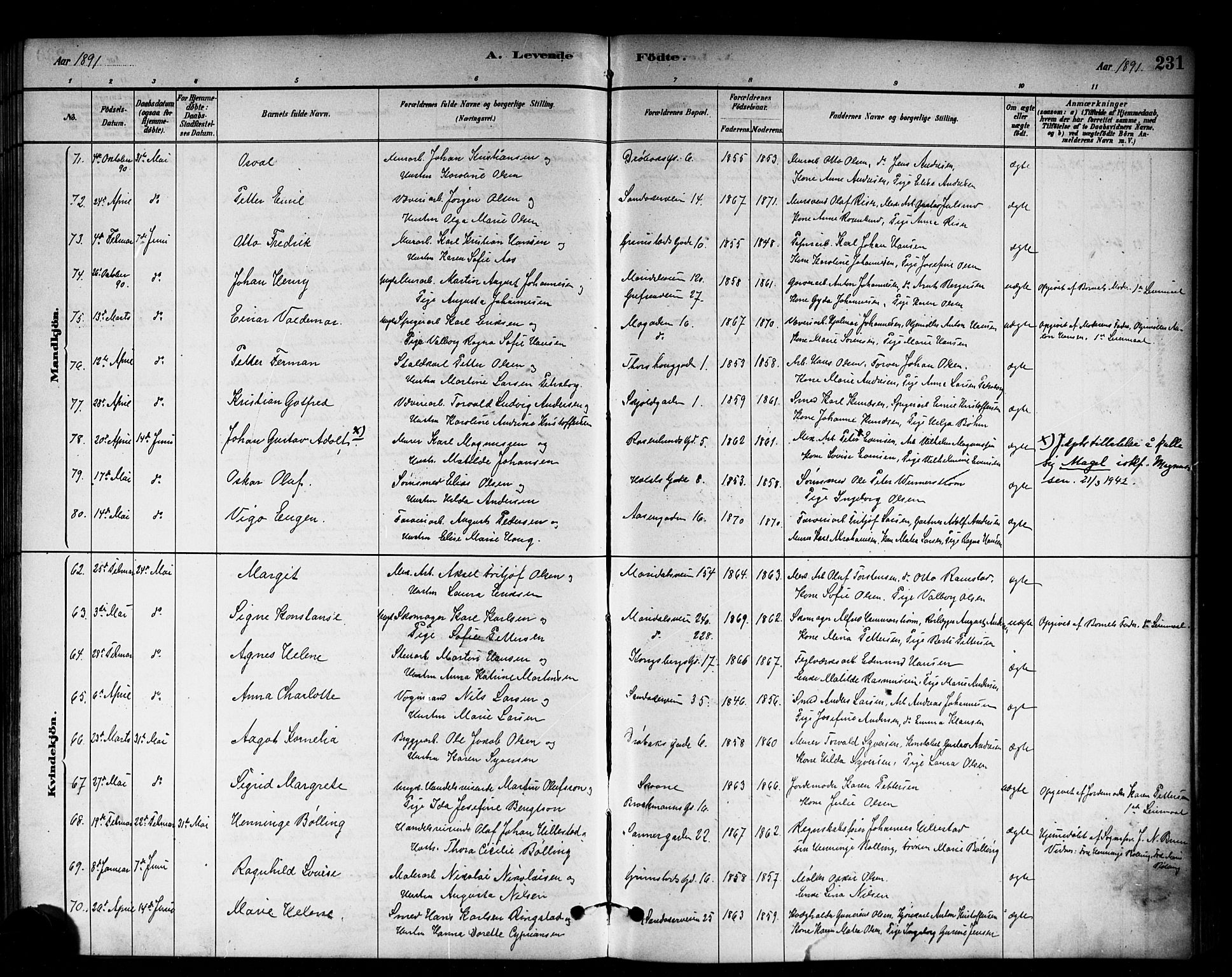 Sagene prestekontor Kirkebøker, SAO/A-10796/G/L0001: Parish register (copy) no. 1, 1880-1891, p. 231
