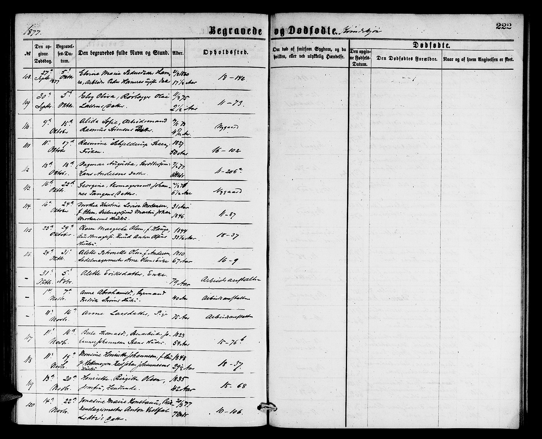 Domkirken sokneprestembete, AV/SAB-A-74801/H/Hab/L0040: Parish register (copy) no. E 4, 1868-1877, p. 222