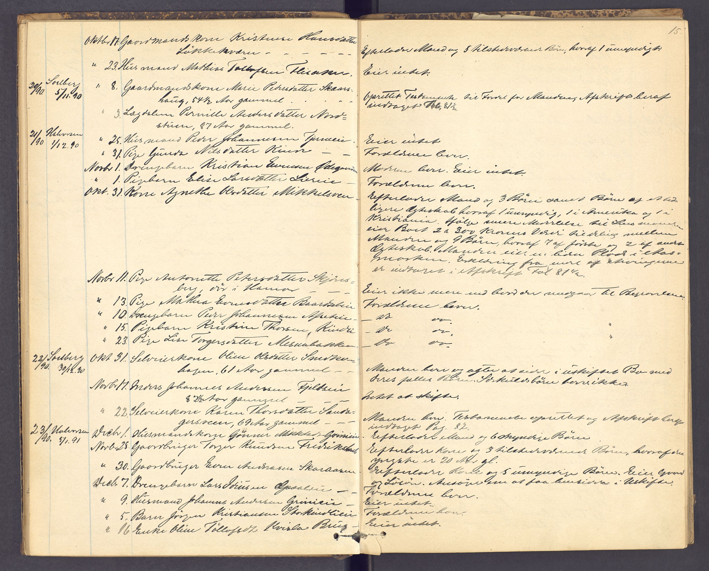 Nord-Hedmark sorenskriveri, AV/SAH-TING-012/J/Ji/L0003: Dødsfallsprotokoll, 1889-1895, p. 15