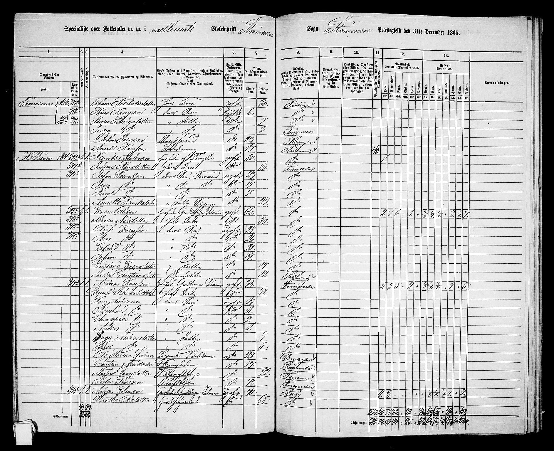 RA, 1865 census for Strømm, 1865, p. 26