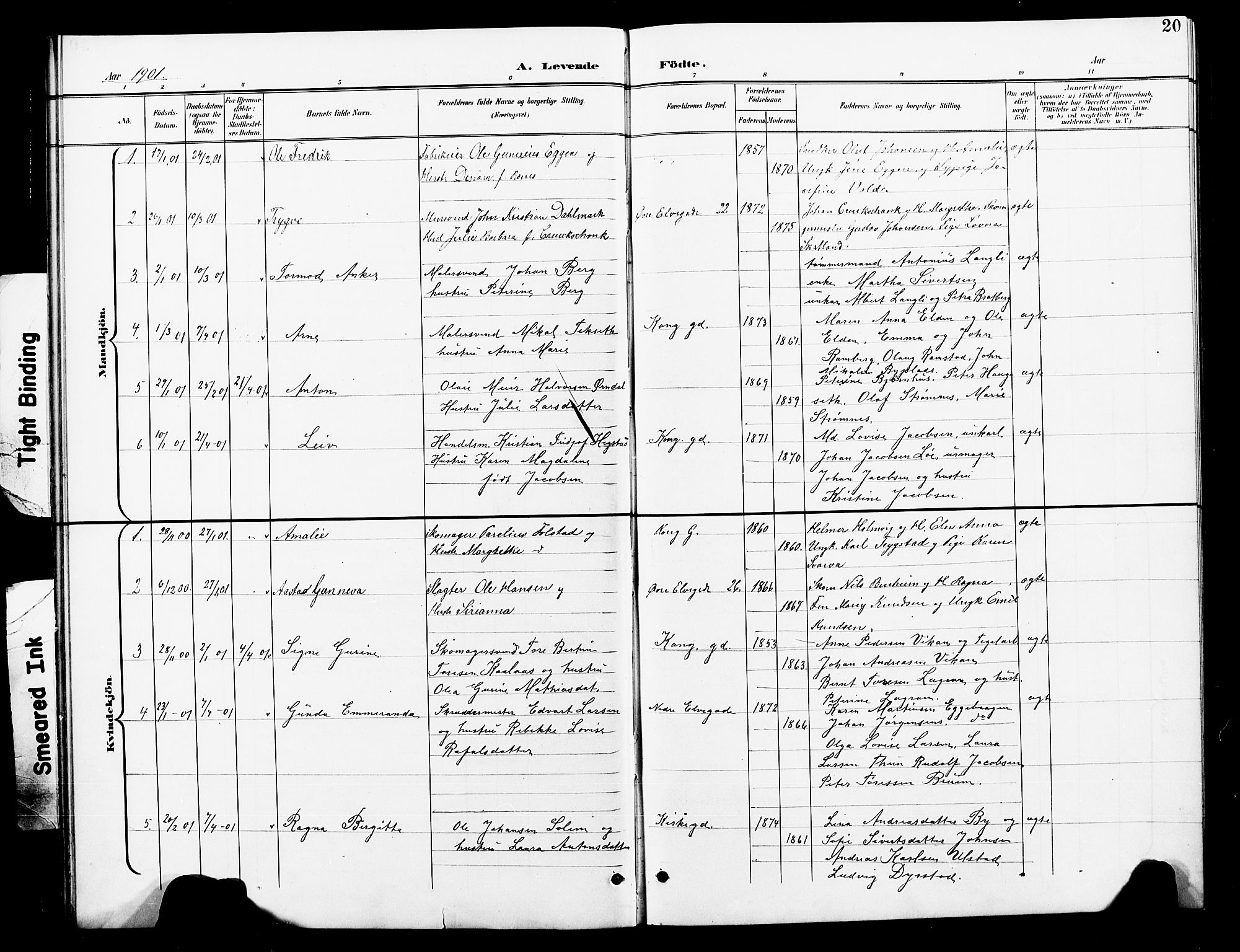 Ministerialprotokoller, klokkerbøker og fødselsregistre - Nord-Trøndelag, SAT/A-1458/739/L0375: Parish register (copy) no. 739C03, 1898-1908, p. 20