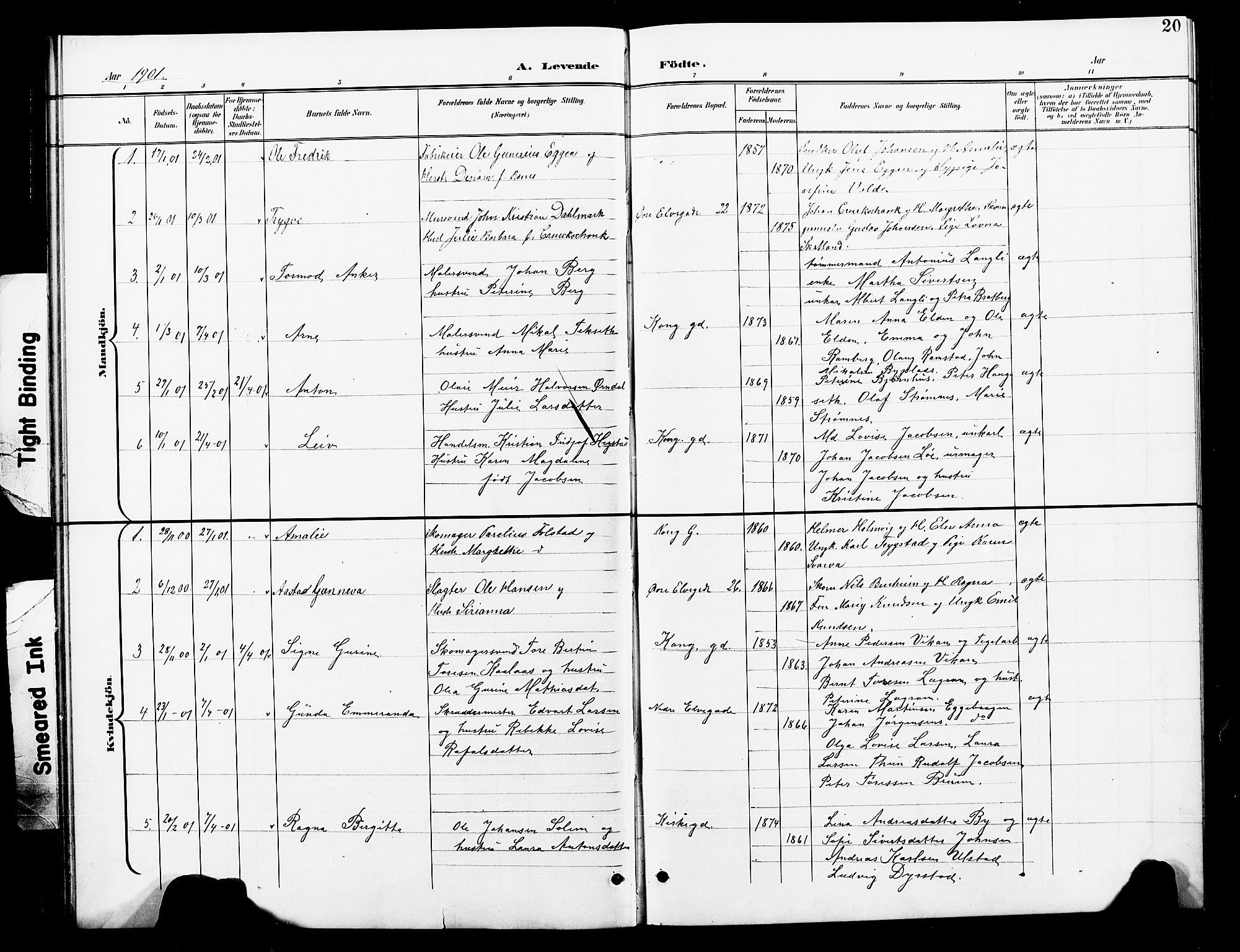 Ministerialprotokoller, klokkerbøker og fødselsregistre - Nord-Trøndelag, AV/SAT-A-1458/739/L0375: Parish register (copy) no. 739C03, 1898-1908, p. 20