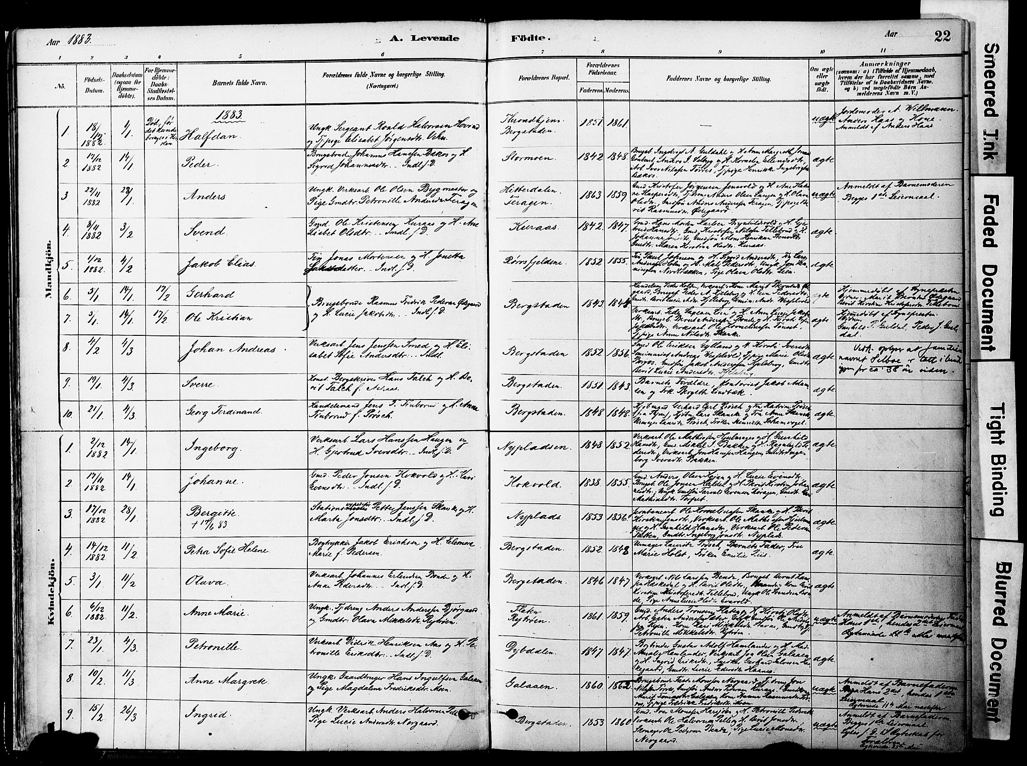 Ministerialprotokoller, klokkerbøker og fødselsregistre - Sør-Trøndelag, SAT/A-1456/681/L0933: Parish register (official) no. 681A11, 1879-1890, p. 22