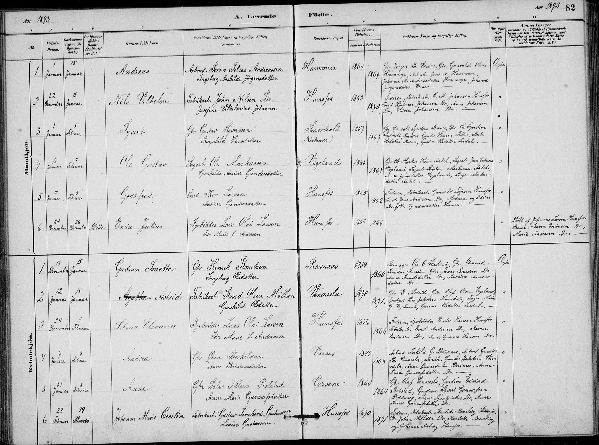 Vennesla sokneprestkontor, AV/SAK-1111-0045/Fb/Fbb/L0003: Parish register (copy) no. B 3, 1879-1893, p. 82