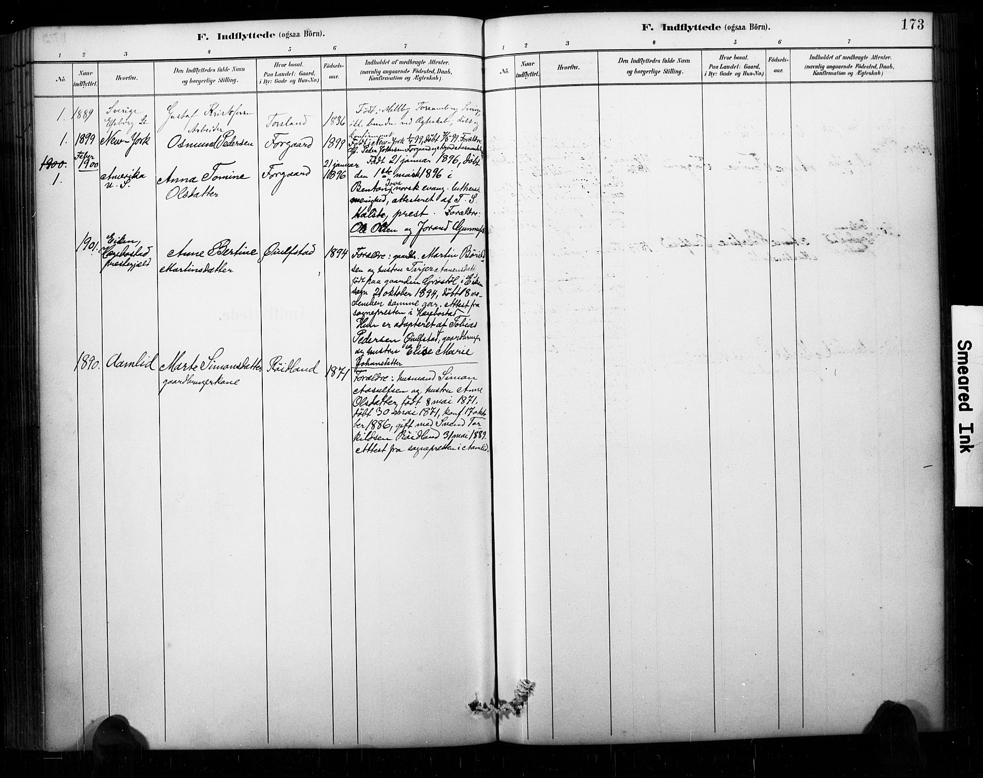 Åseral sokneprestkontor, AV/SAK-1111-0051/F/Fa/L0003: Parish register (official) no. A 3, 1884-1901, p. 173