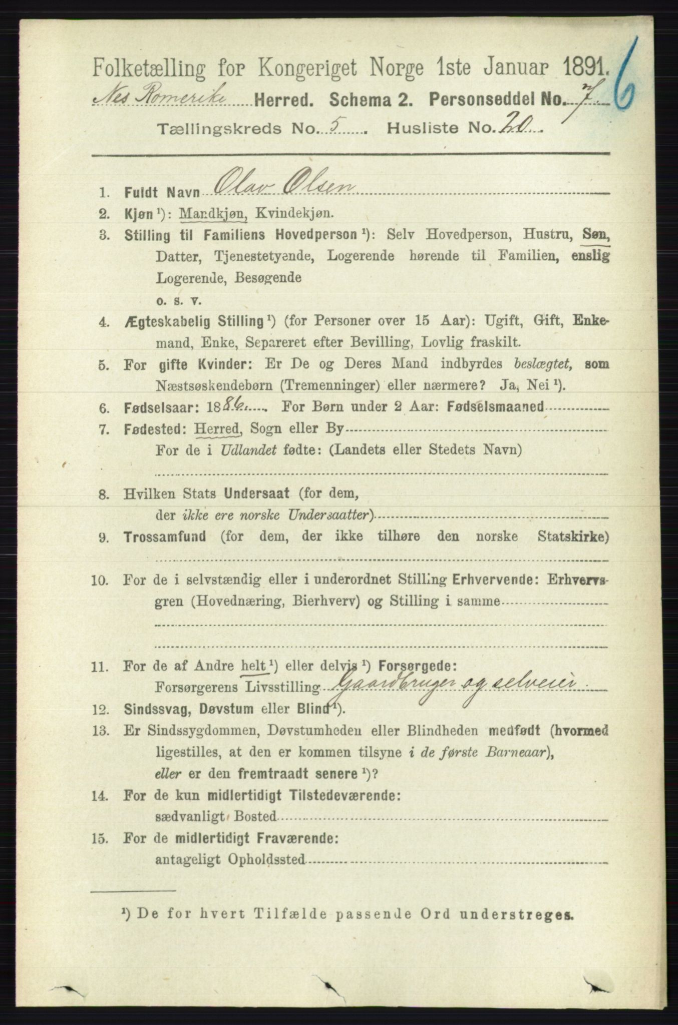 RA, 1891 census for 0236 Nes, 1891, p. 2902