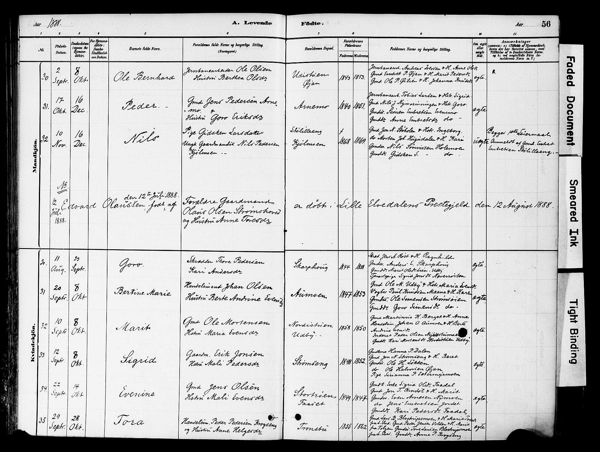 Tynset prestekontor, AV/SAH-PREST-058/H/Ha/Haa/L0022: Parish register (official) no. 22, 1880-1899, p. 56