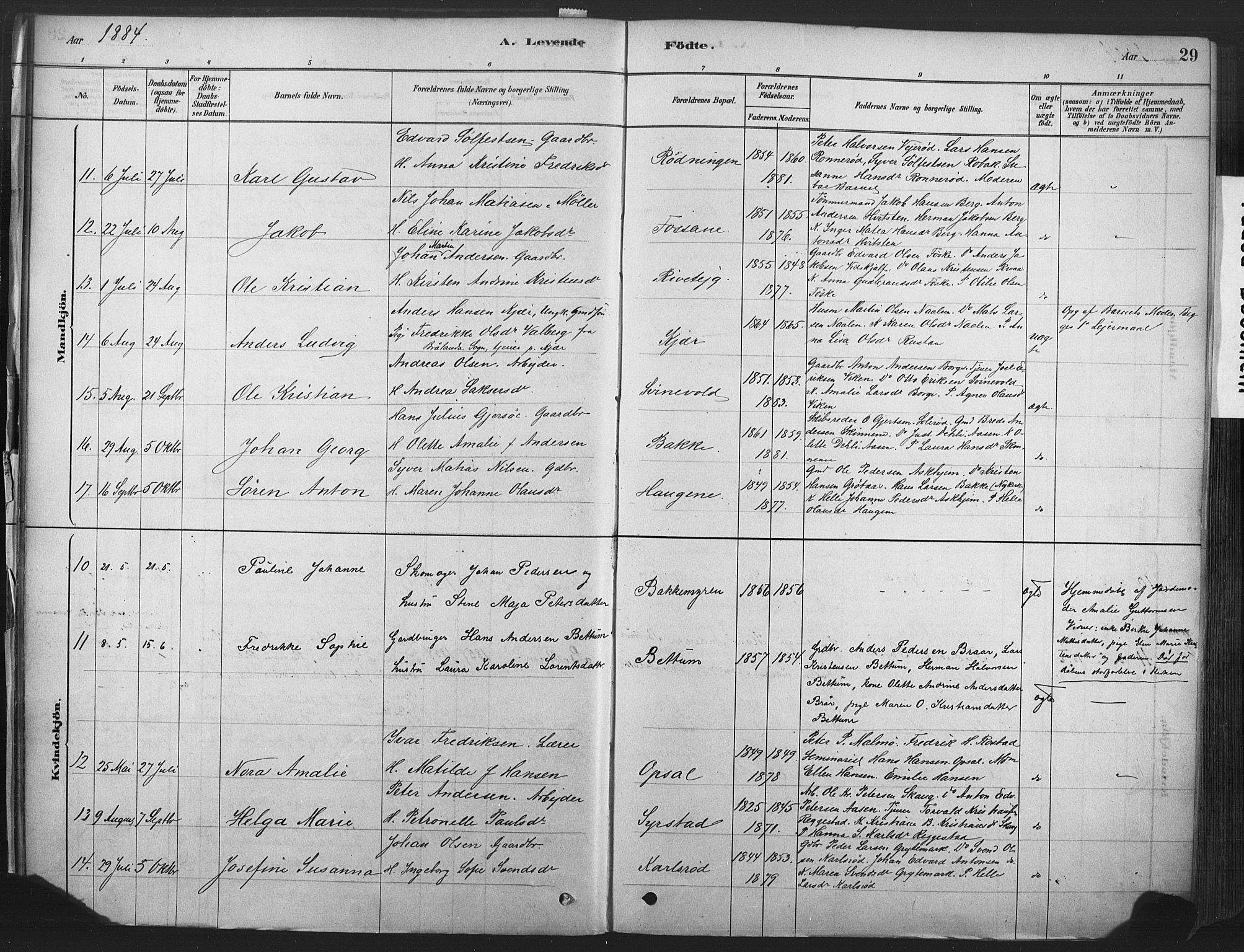 Våle kirkebøker, AV/SAKO-A-334/F/Fa/L0011: Parish register (official) no. I 11, 1878-1906, p. 29