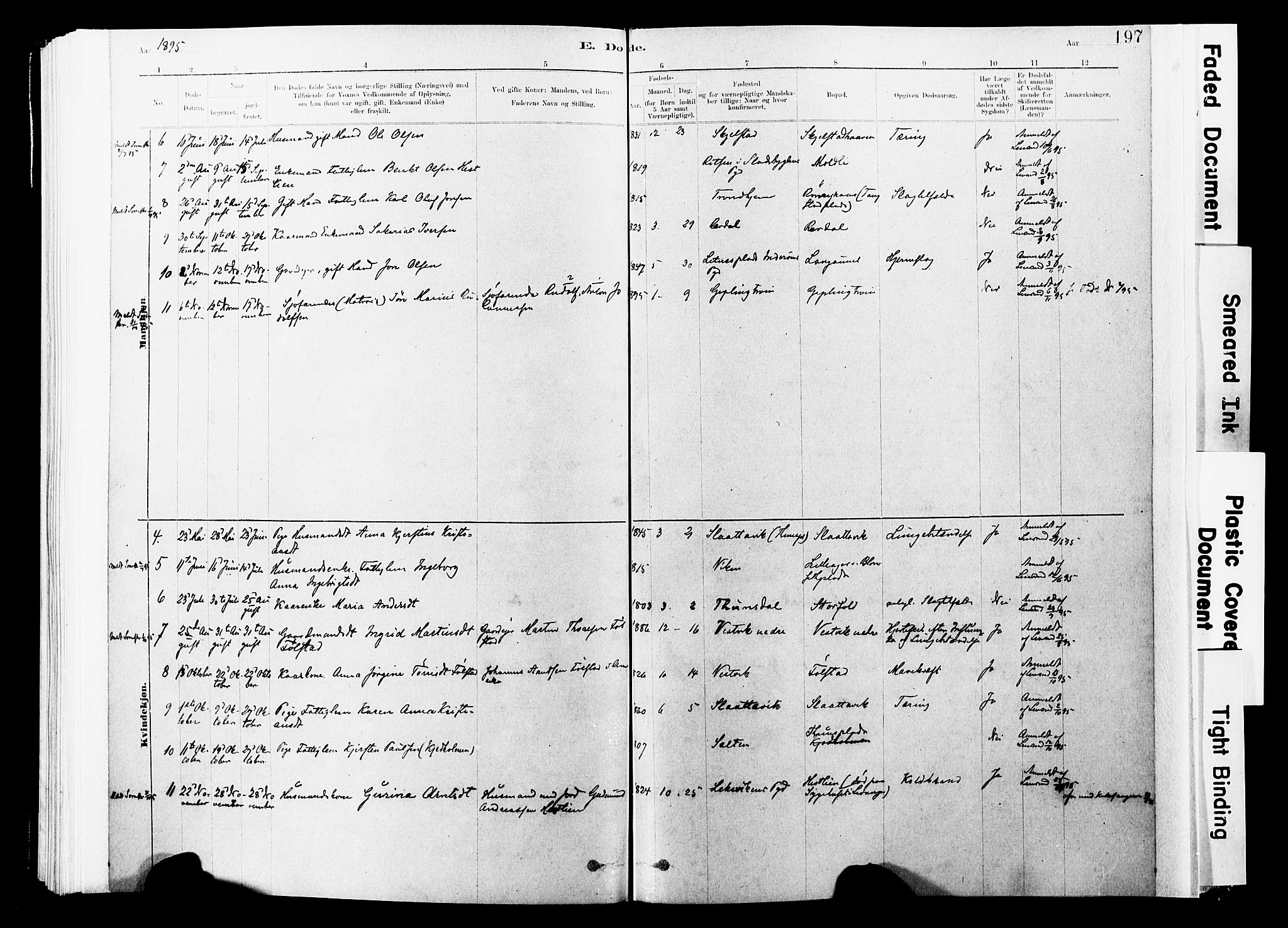 Ministerialprotokoller, klokkerbøker og fødselsregistre - Nord-Trøndelag, AV/SAT-A-1458/744/L0420: Parish register (official) no. 744A04, 1882-1904, p. 197