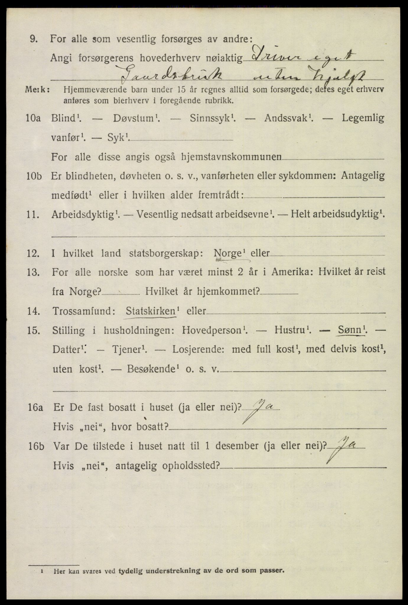 SAH, 1920 census for Søndre Land, 1920, p. 4994