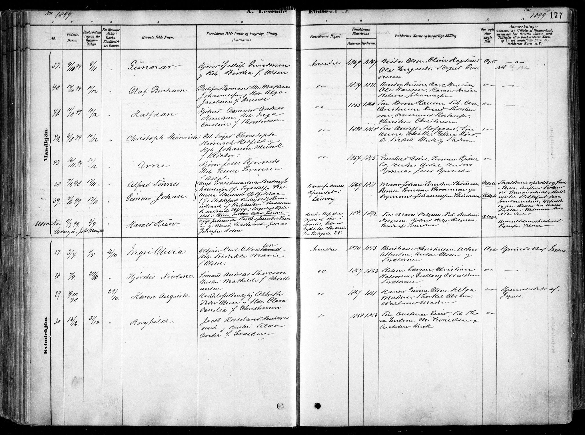 Arendal sokneprestkontor, Trefoldighet, AV/SAK-1111-0040/F/Fa/L0008: Parish register (official) no. A 8, 1878-1899, p. 177