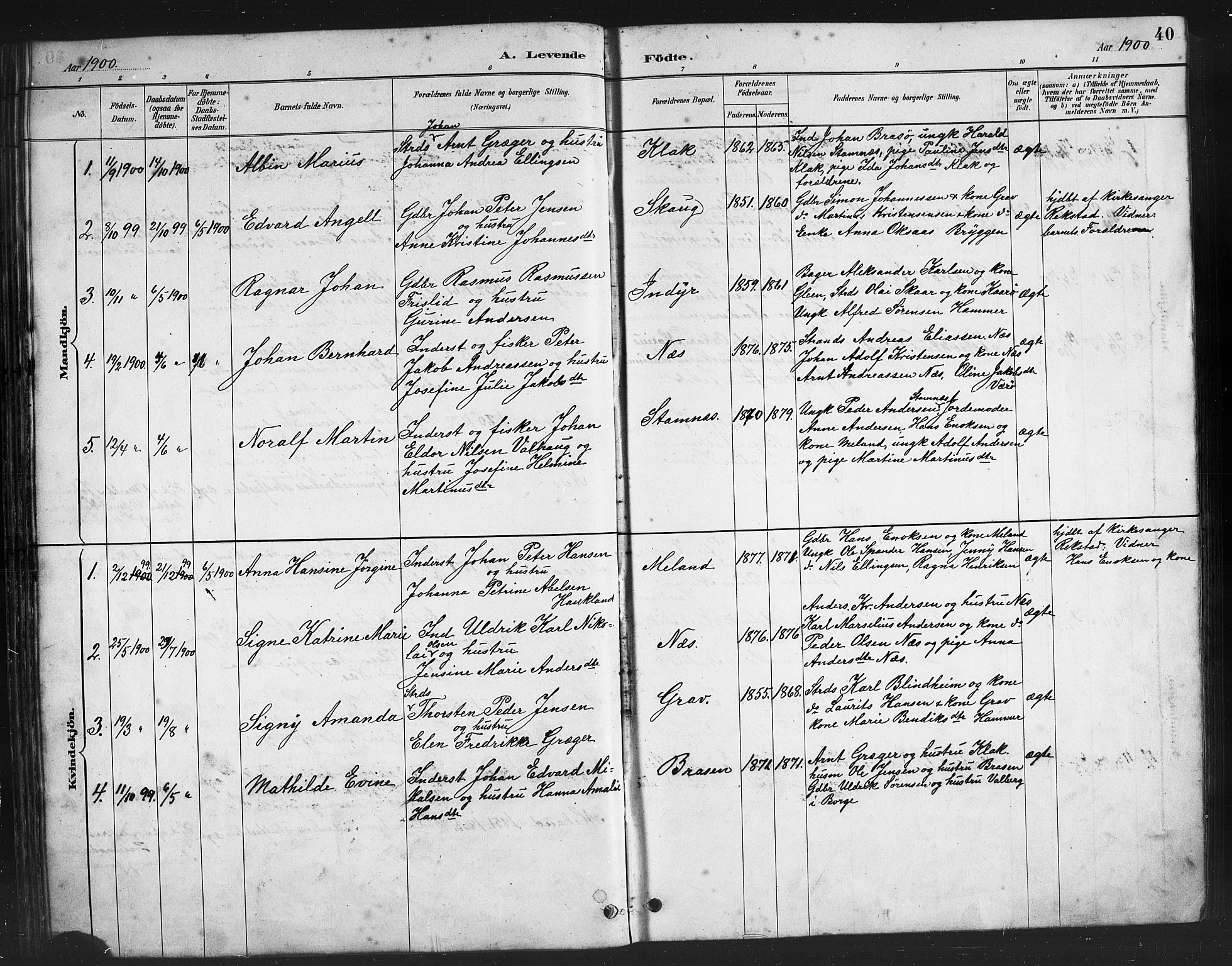 Ministerialprotokoller, klokkerbøker og fødselsregistre - Nordland, AV/SAT-A-1459/808/L0131: Parish register (copy) no. 808C02, 1879-1919, p. 40