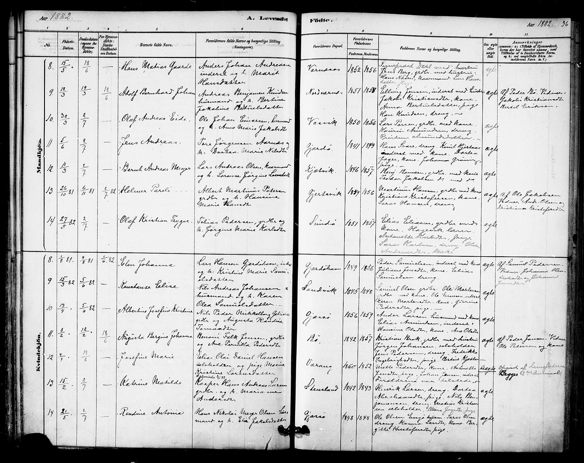 Ministerialprotokoller, klokkerbøker og fødselsregistre - Nordland, AV/SAT-A-1459/841/L0609: Parish register (official) no. 841A12, 1878-1901, p. 36