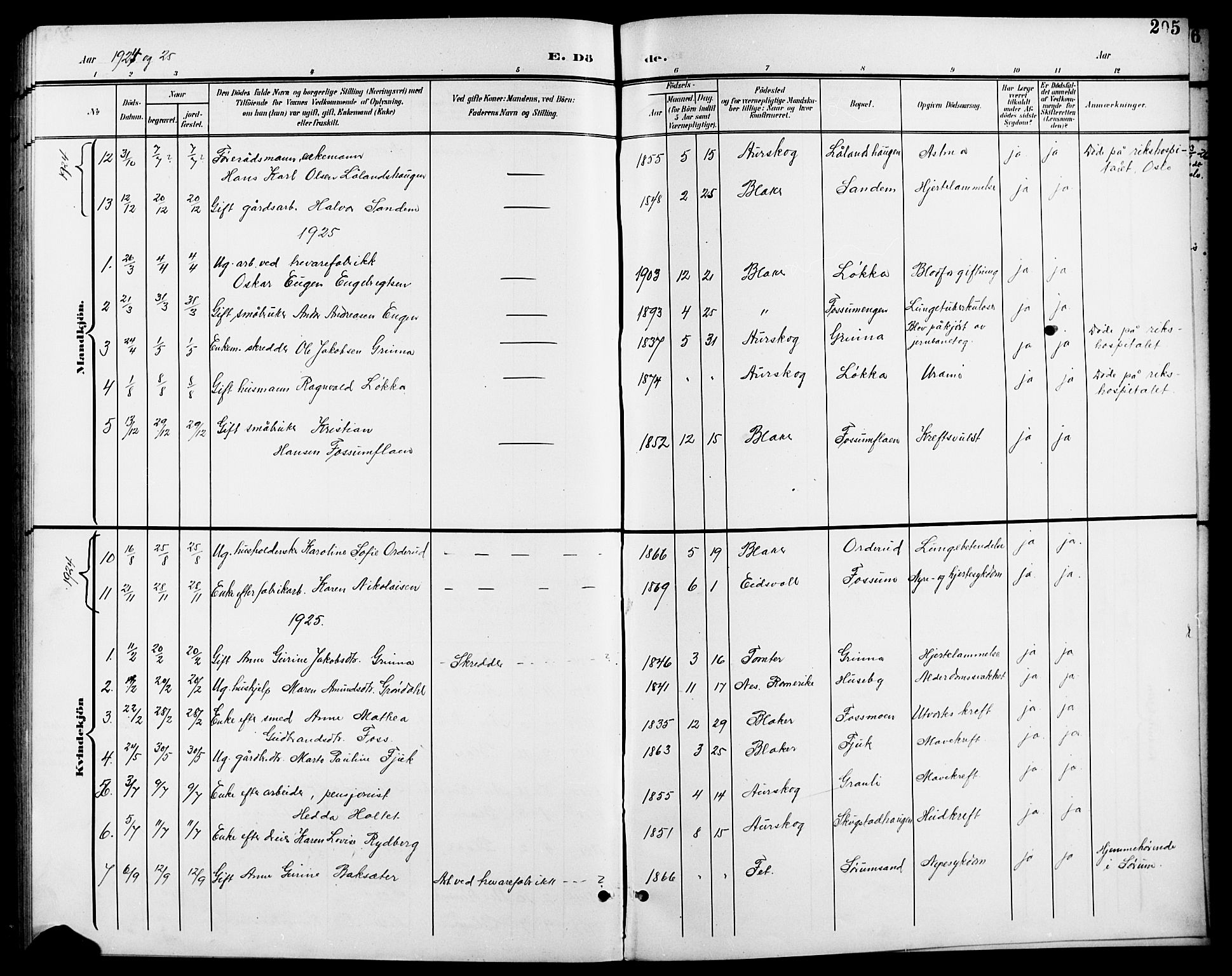 Aurskog prestekontor Kirkebøker, SAO/A-10304a/G/Gb/L0002: Parish register (copy) no. II 2, 1901-1926, p. 205