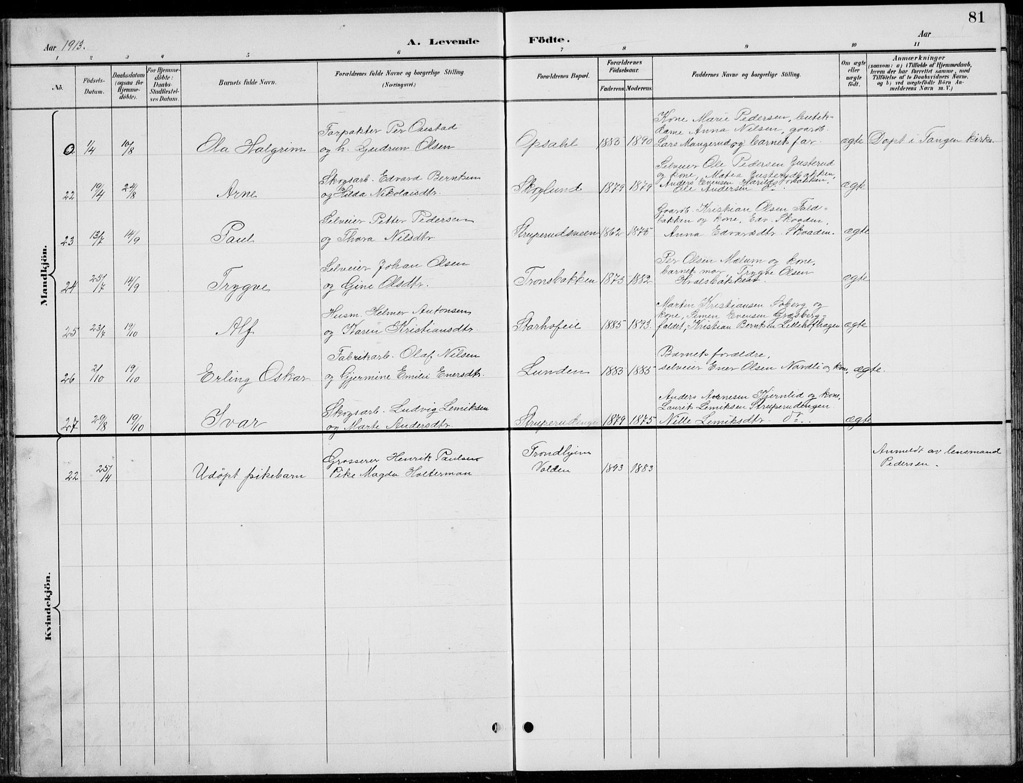 Romedal prestekontor, AV/SAH-PREST-004/L/L0013: Parish register (copy) no. 13, 1896-1937, p. 81