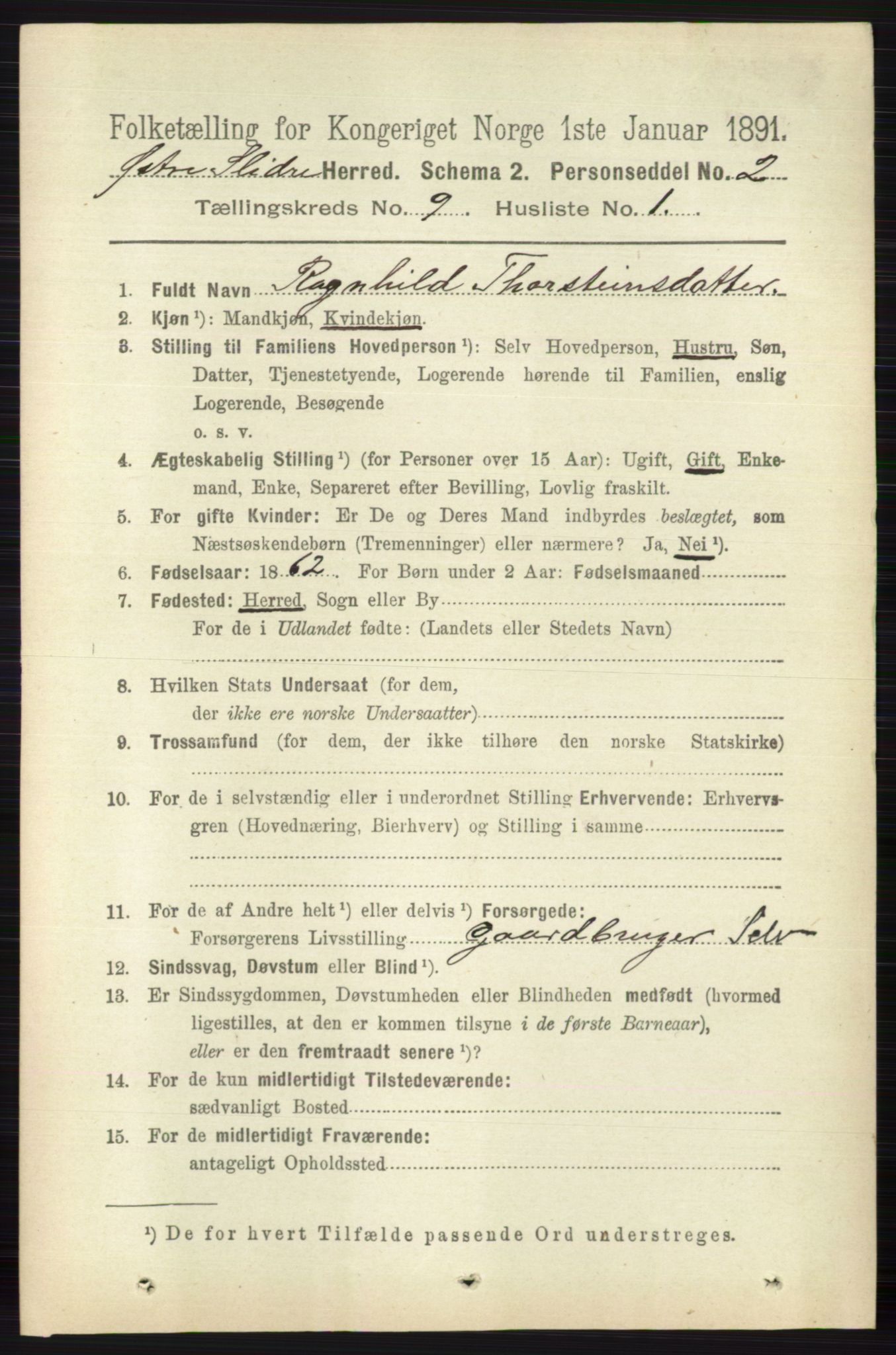 RA, 1891 census for 0544 Øystre Slidre, 1891, p. 3038