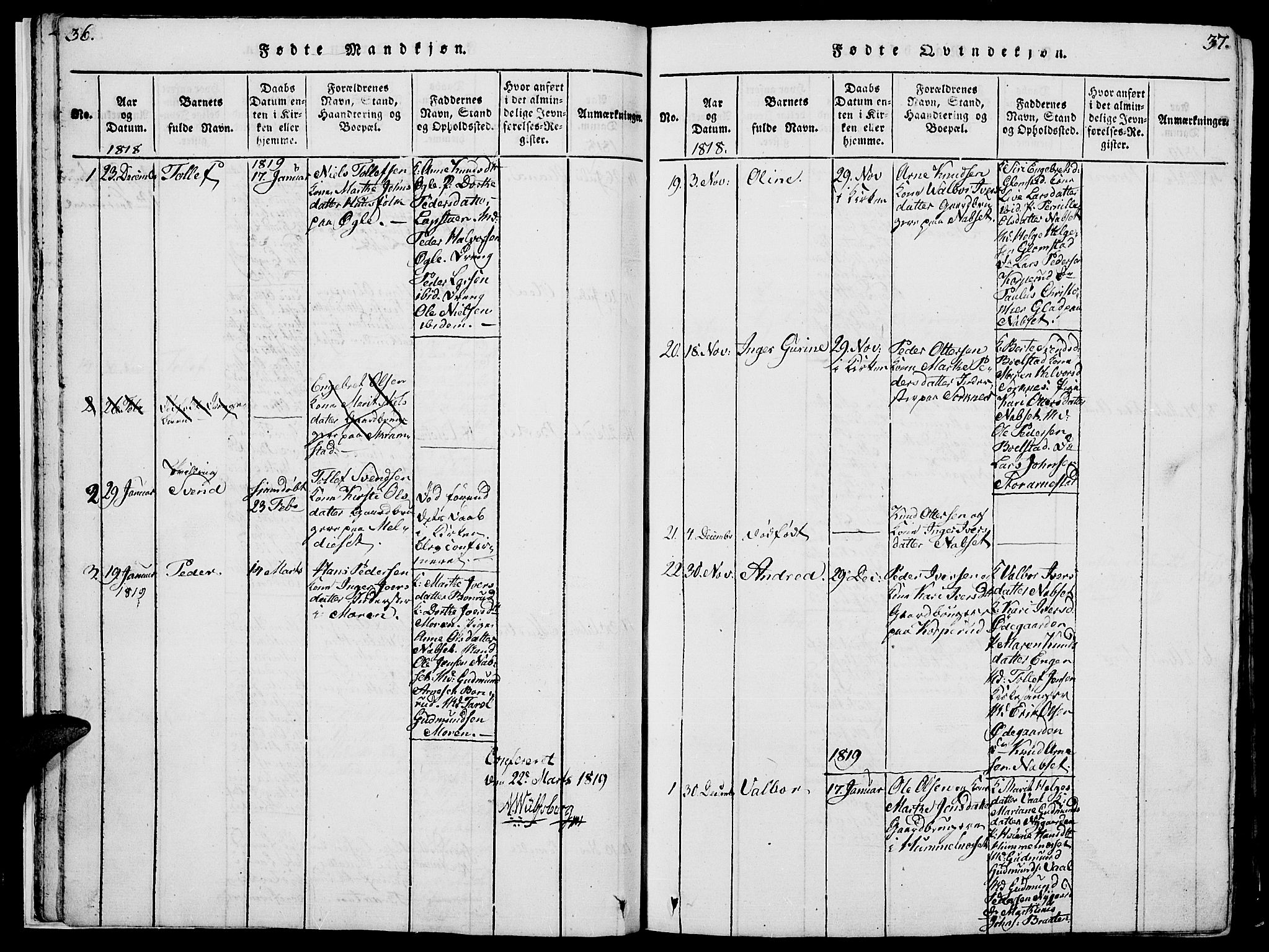 Åmot prestekontor, Hedmark, SAH/PREST-056/H/Ha/Hab/L0001: Parish register (copy) no. 1, 1815-1847, p. 36-37