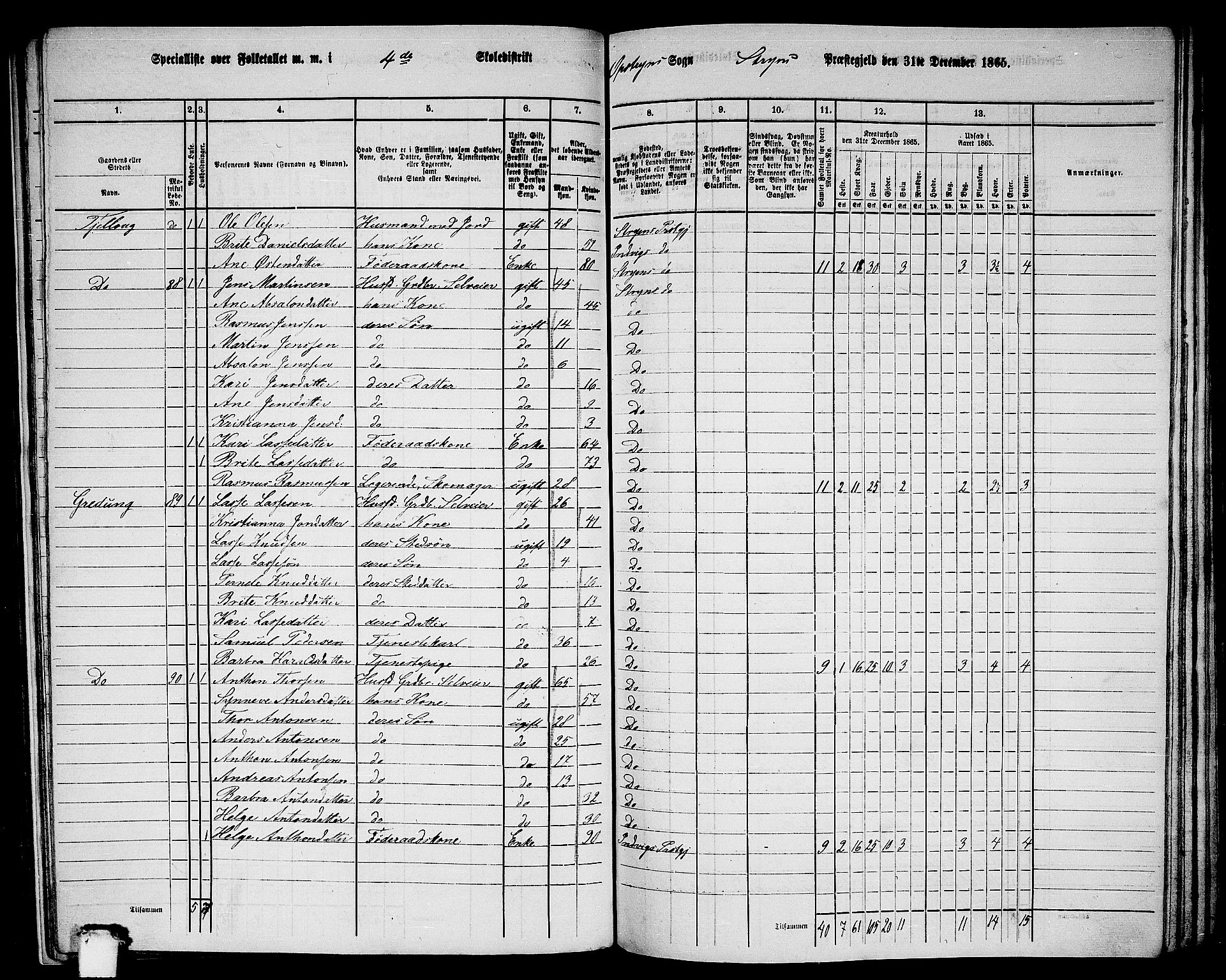 RA, 1865 census for Stryn, 1865, p. 24