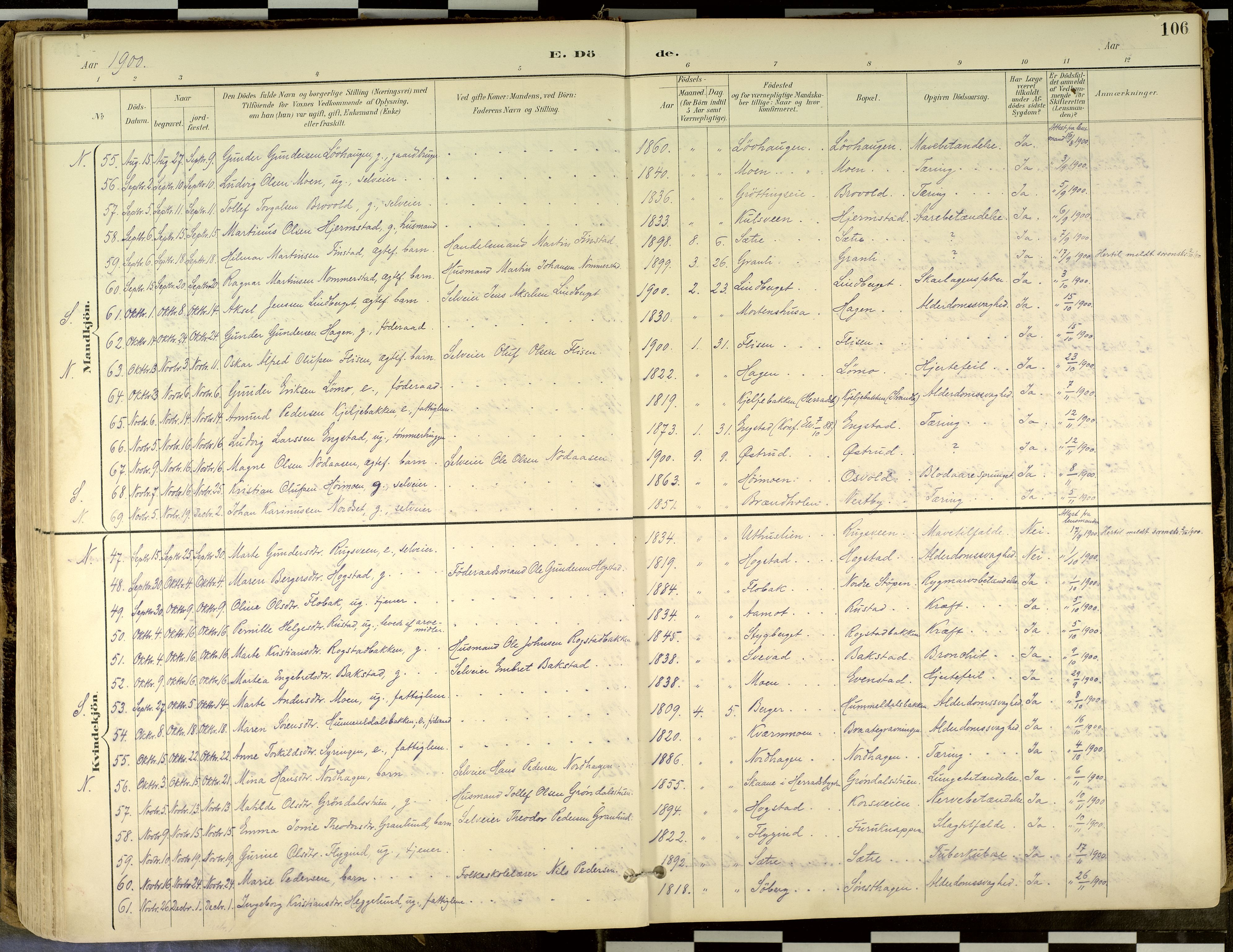 Elverum prestekontor, AV/SAH-PREST-044/H/Ha/Haa/L0018: Parish register (official) no. 18, 1894-1914, p. 106