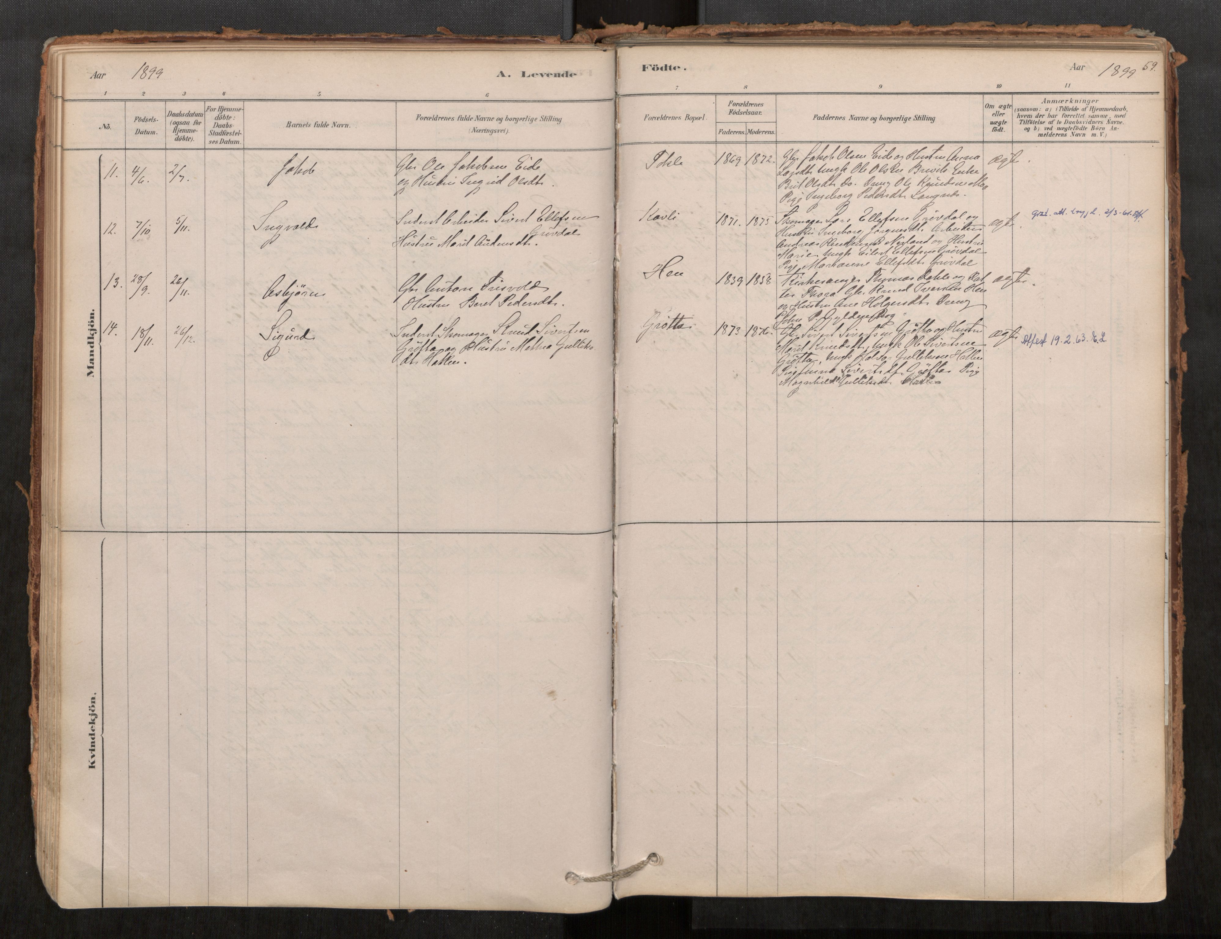 Ministerialprotokoller, klokkerbøker og fødselsregistre - Møre og Romsdal, AV/SAT-A-1454/545/L0594: Parish register (official) no. 545A03, 1878-1920, p. 59