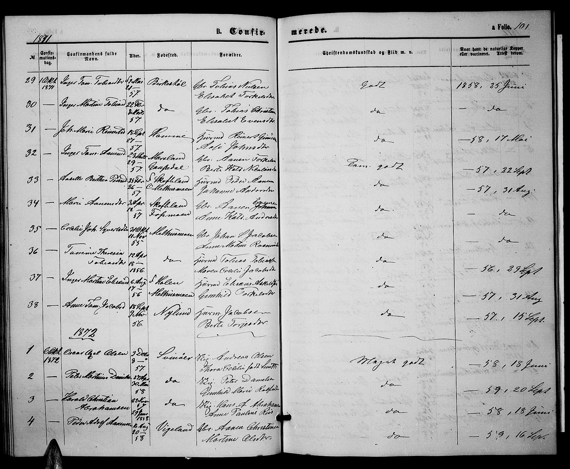 Sør-Audnedal sokneprestkontor, AV/SAK-1111-0039/F/Fb/Fbb/L0004: Parish register (copy) no. B 4, 1868-1879, p. 101