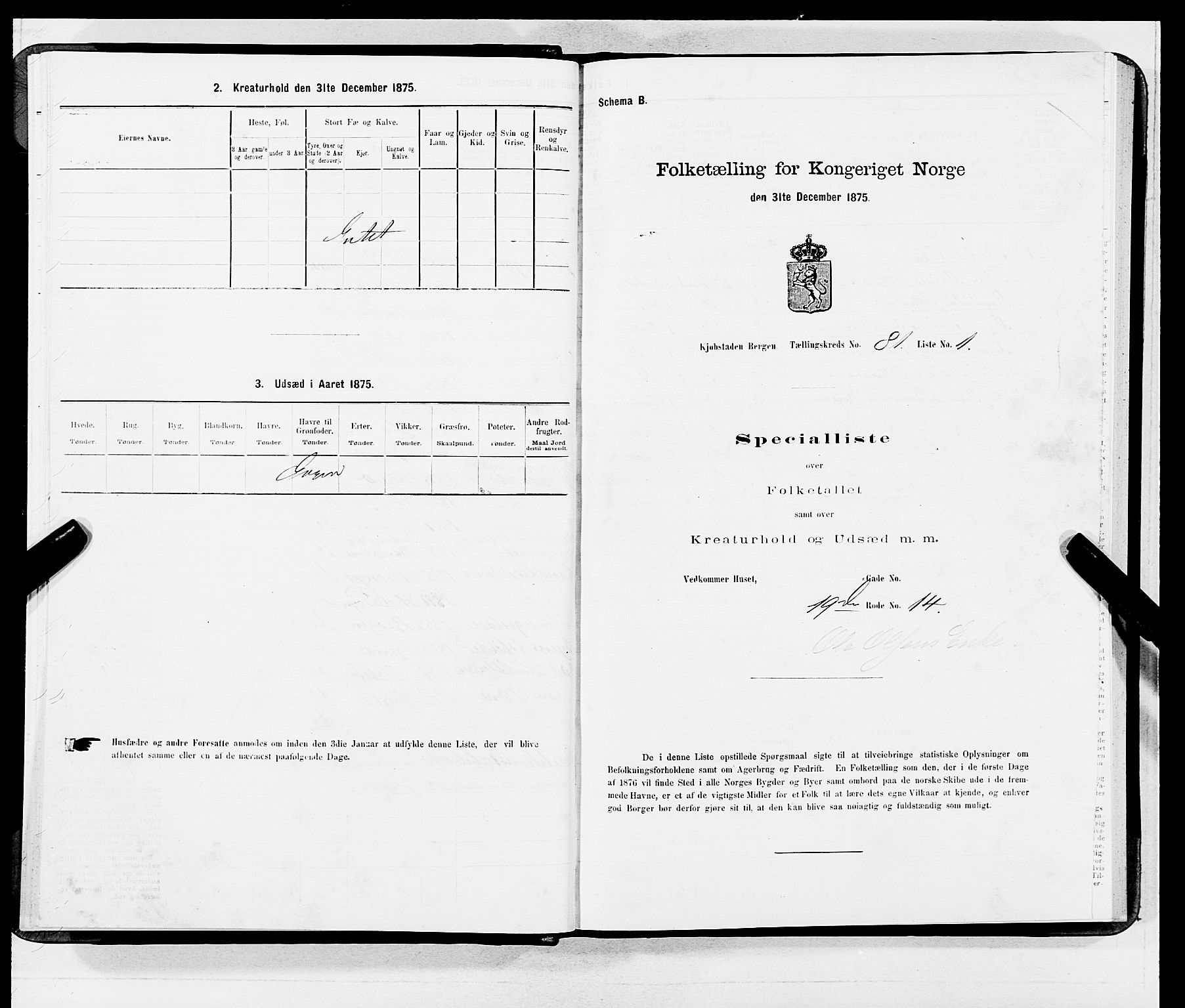 SAB, 1875 census for 1301 Bergen, 1875, p. 4340