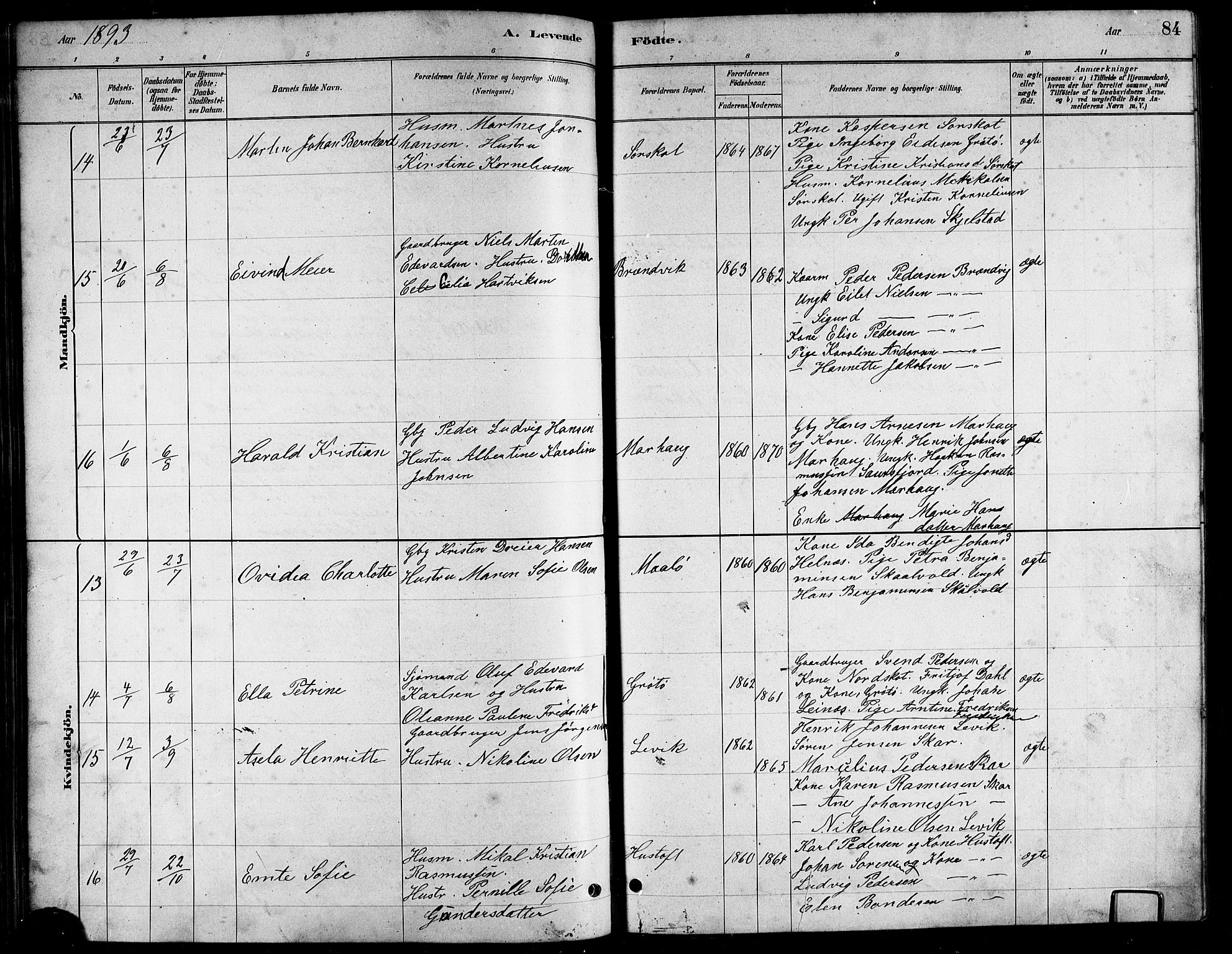 Ministerialprotokoller, klokkerbøker og fødselsregistre - Nordland, AV/SAT-A-1459/857/L0828: Parish register (copy) no. 857C03, 1879-1908, p. 84