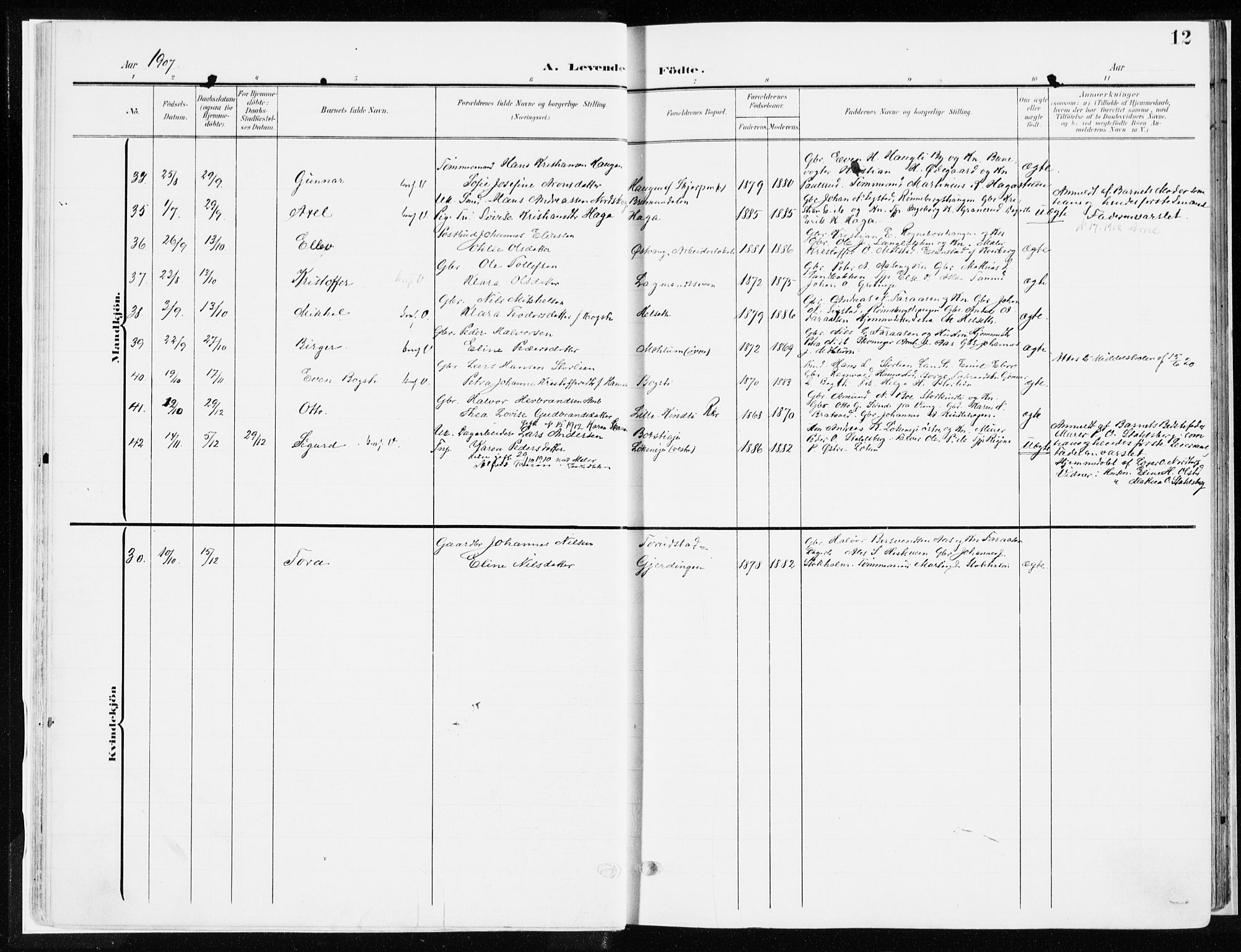 Ringsaker prestekontor, AV/SAH-PREST-014/K/Ka/L0019: Parish register (official) no. 19, 1905-1920, p. 12