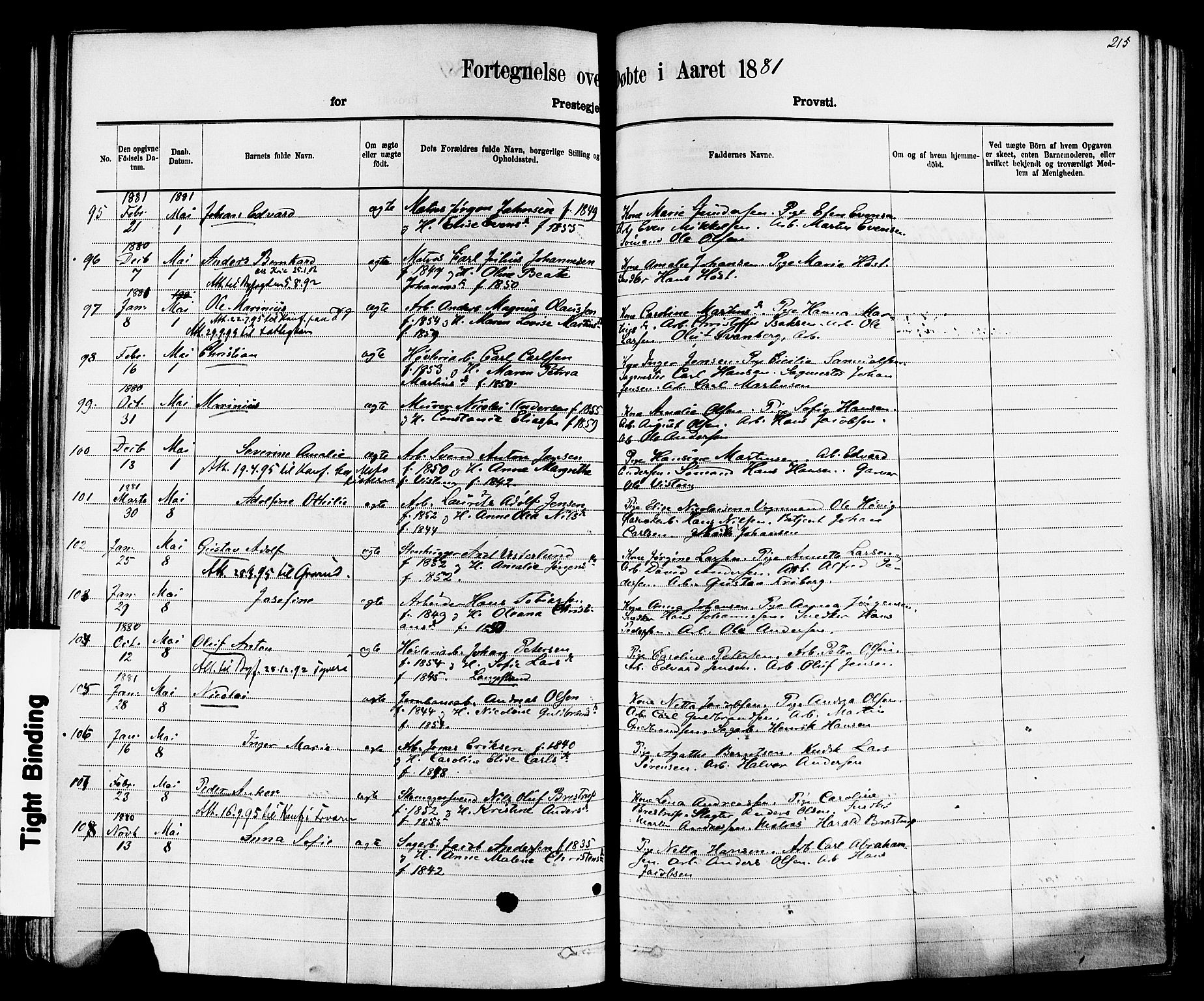 Larvik kirkebøker, AV/SAKO-A-352/F/Fa/L0006: Parish register (official) no. I 6, 1871-1883, p. 215