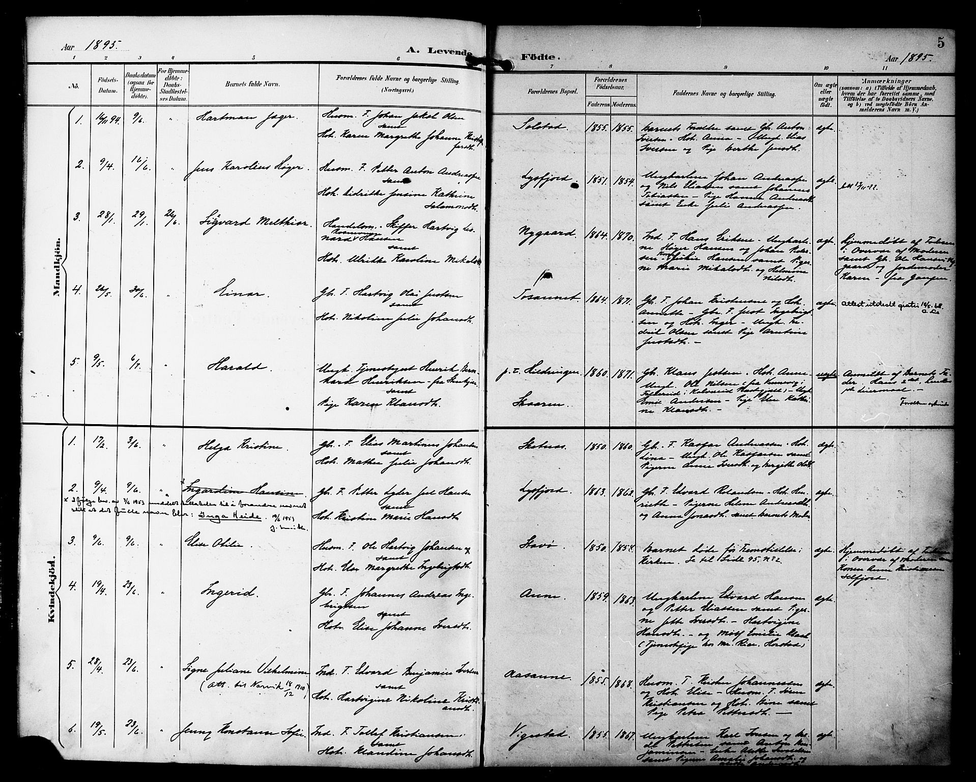 Ministerialprotokoller, klokkerbøker og fødselsregistre - Nordland, AV/SAT-A-1459/810/L0152: Parish register (official) no. 810A11, 1895-1899, p. 5