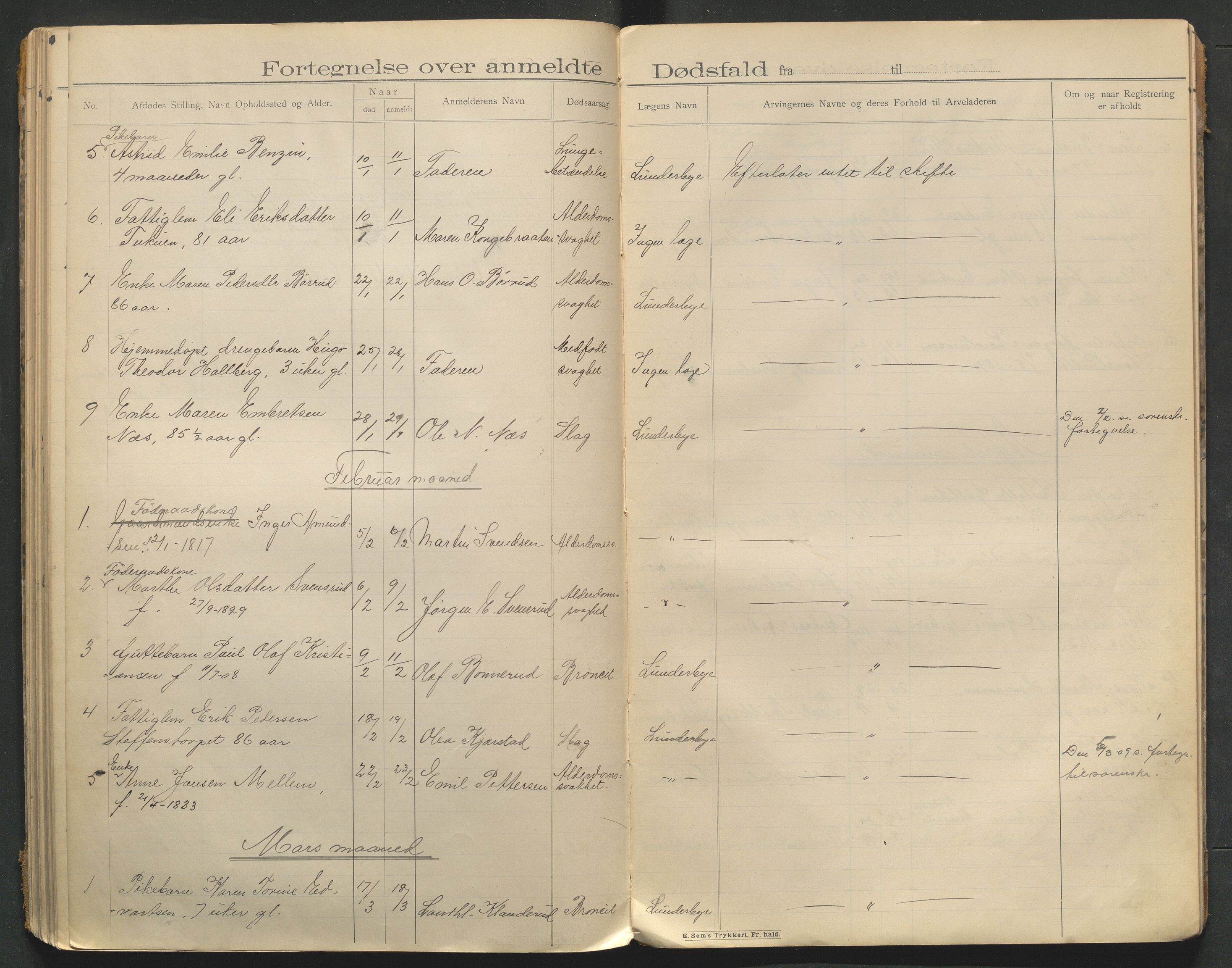 Eidskog lensmannskontor, AV/SAH-LHE-009/H/Ha/Haa/L0001/0002: Dødsfallsprotokoller / Dødsfallsprotokoll, 1901-1910
