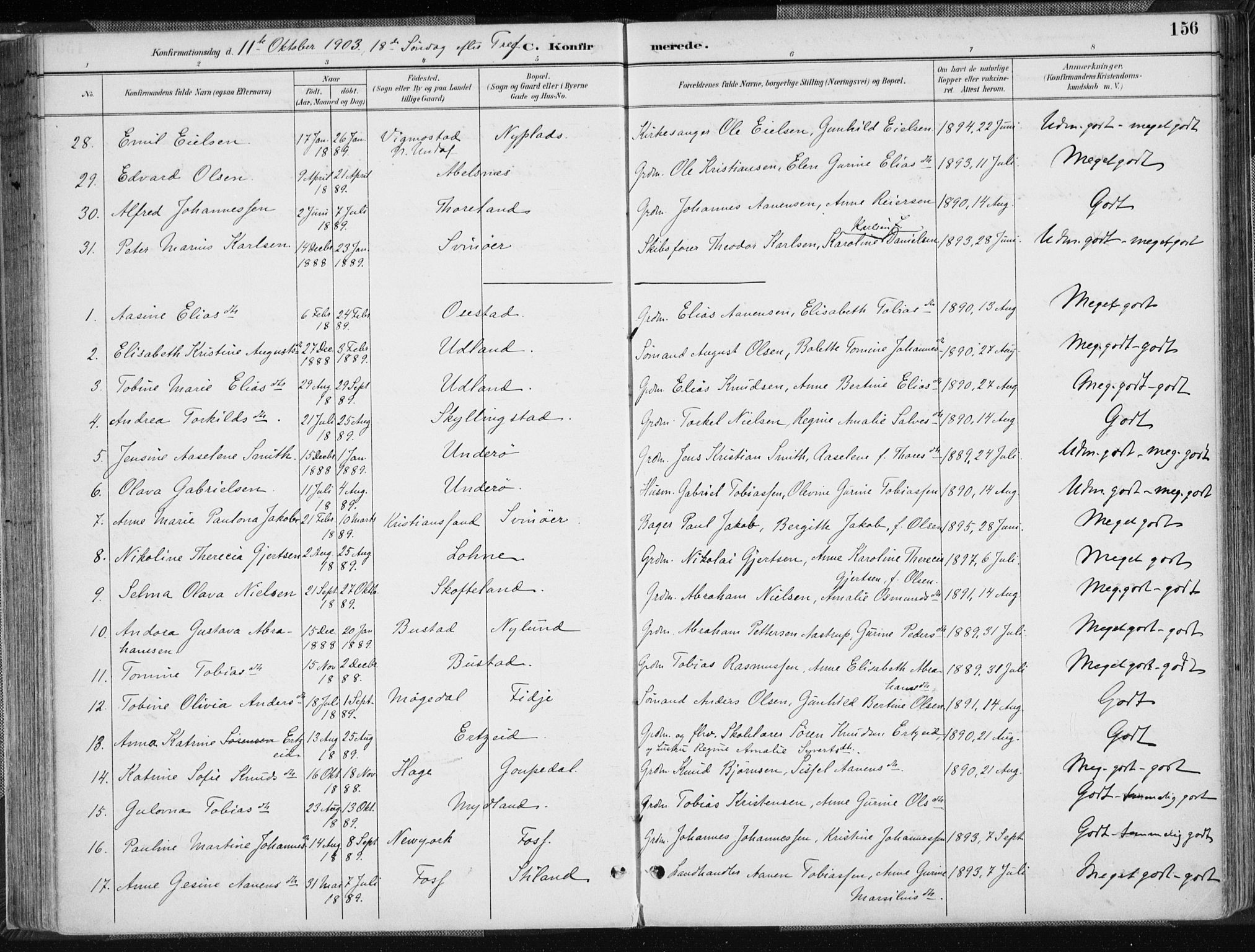 Sør-Audnedal sokneprestkontor, AV/SAK-1111-0039/F/Fa/Fab/L0010: Parish register (official) no. A 10, 1892-1913, p. 156