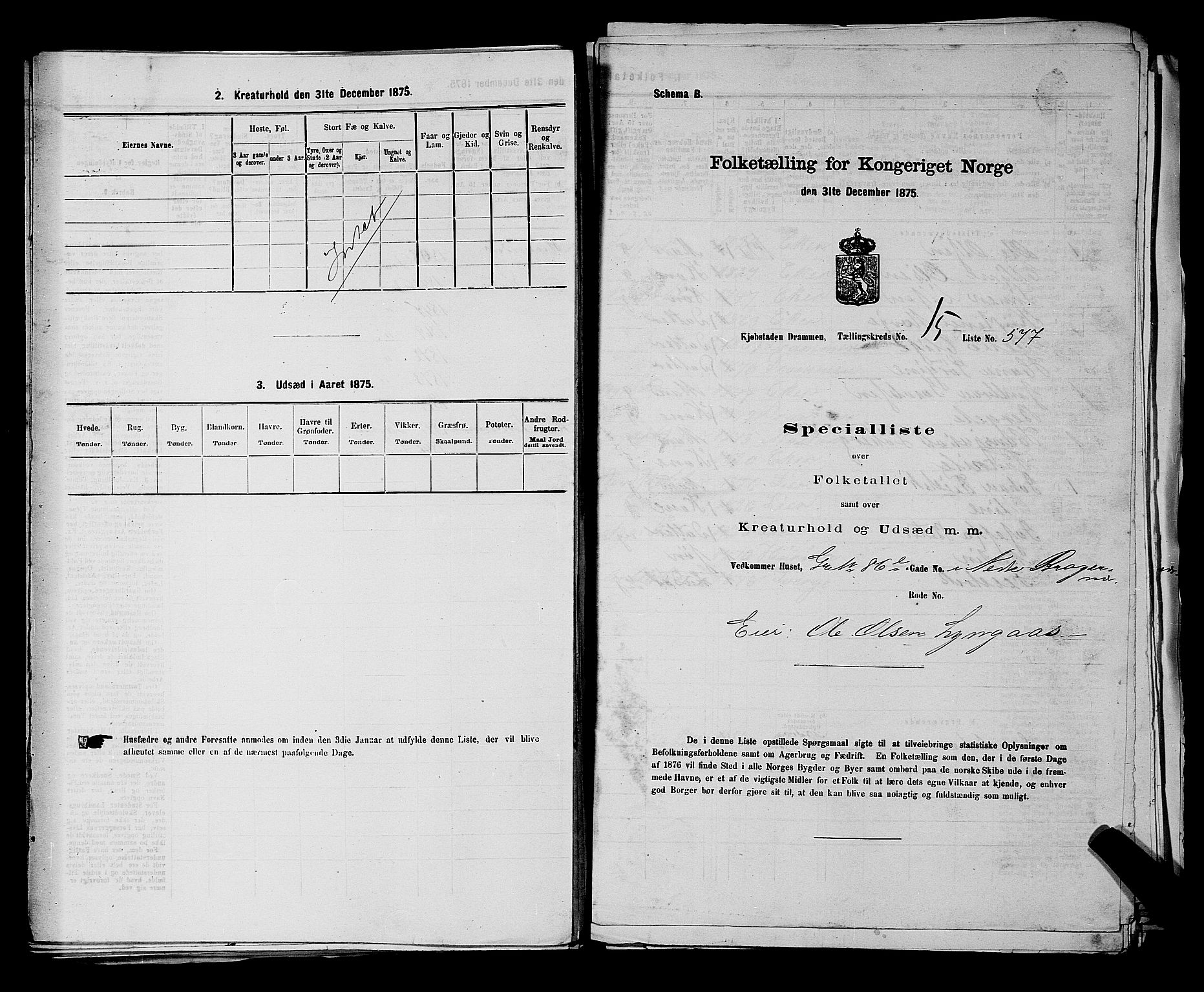 SAKO, 1875 census for 0602 Drammen, 1875, p. 1705