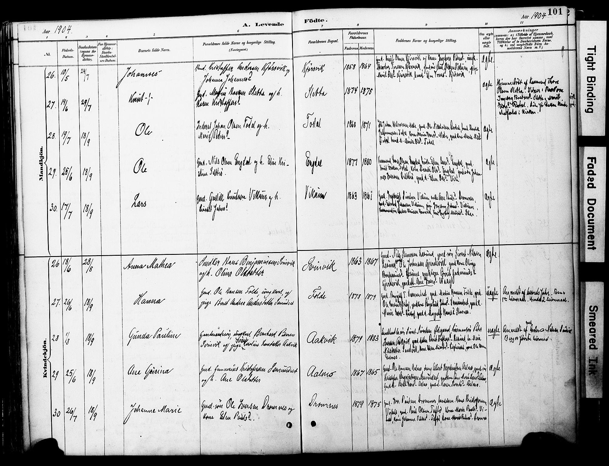 Ministerialprotokoller, klokkerbøker og fødselsregistre - Møre og Romsdal, AV/SAT-A-1454/578/L0907: Parish register (official) no. 578A06, 1887-1904, p. 101