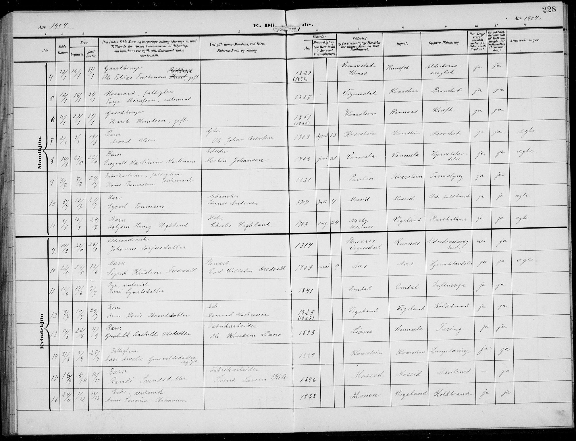 Vennesla sokneprestkontor, AV/SAK-1111-0045/Fb/Fbb/L0005: Parish register (copy) no. B 5, 1903-1913, p. 228