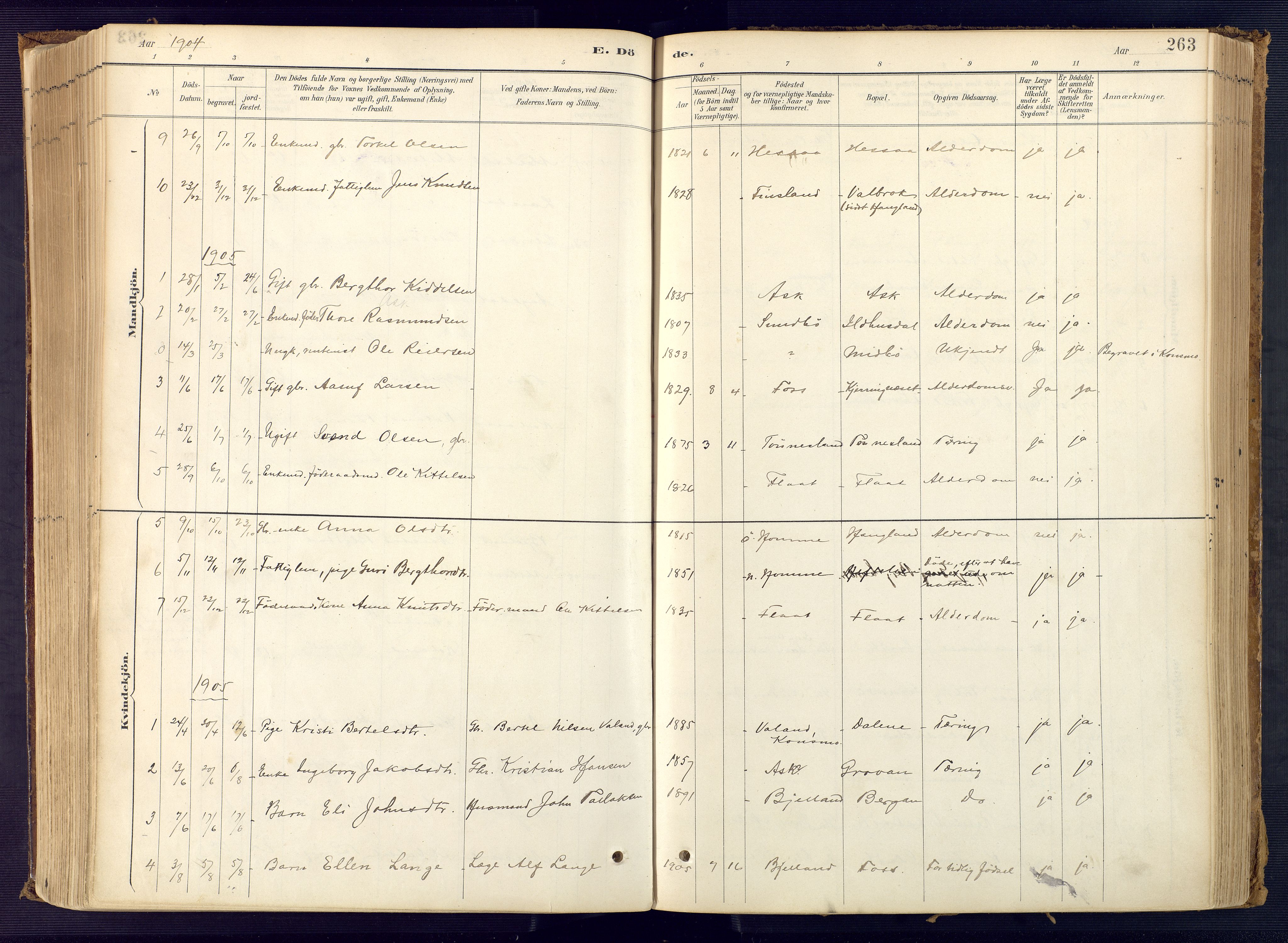 Bjelland sokneprestkontor, SAK/1111-0005/F/Fa/Faa/L0004: Parish register (official) no. A 4, 1887-1923, p. 263