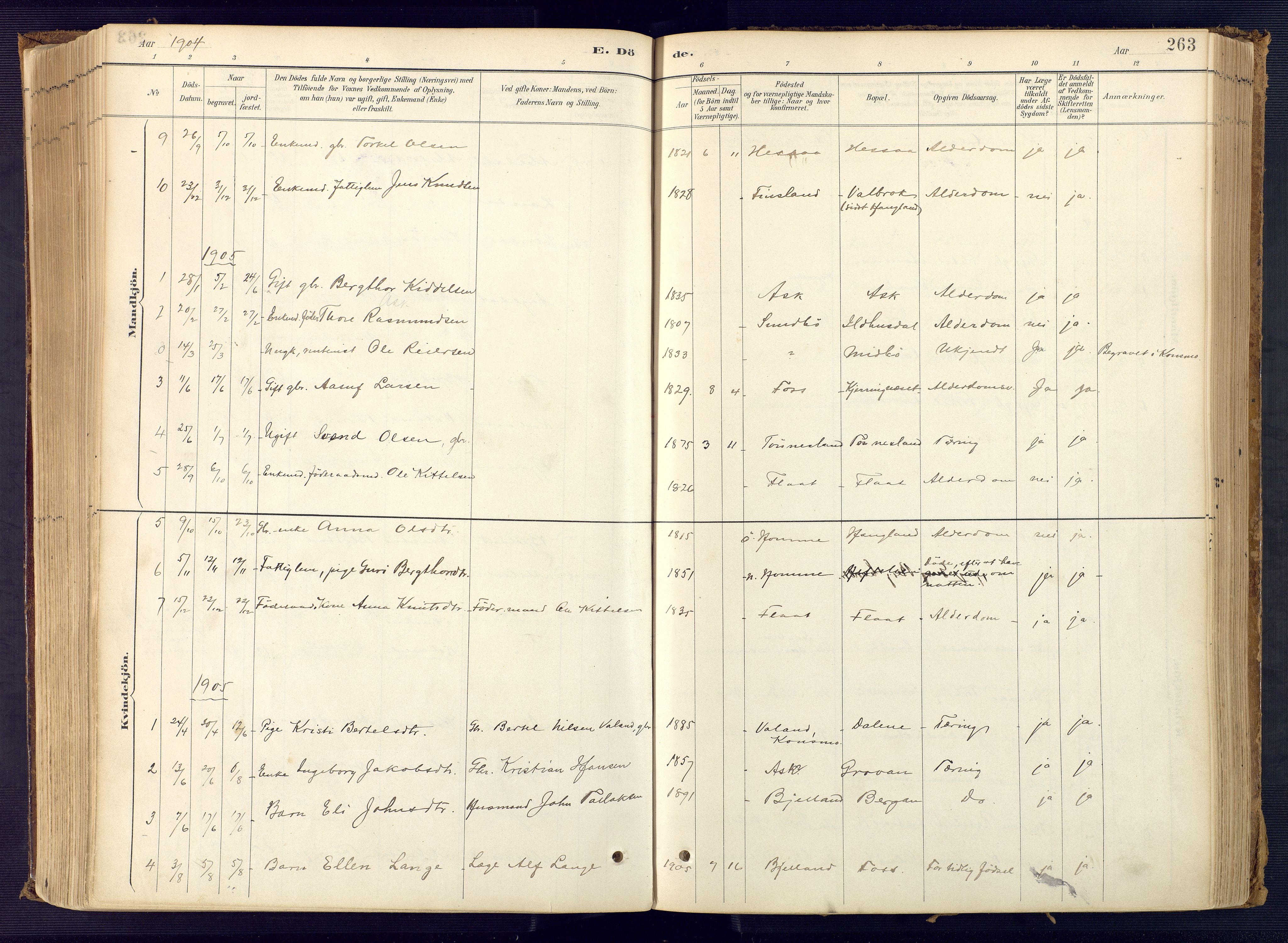 Bjelland sokneprestkontor, AV/SAK-1111-0005/F/Fa/Faa/L0004: Parish register (official) no. A 4, 1887-1923, p. 263