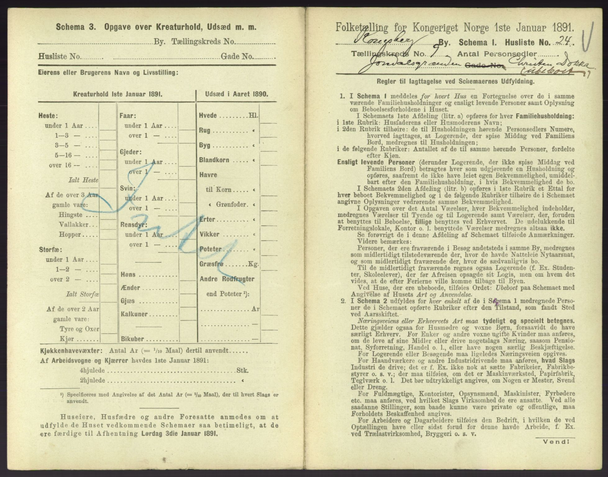 RA, 1891 census for 0604 Kongsberg, 1891, p. 1499