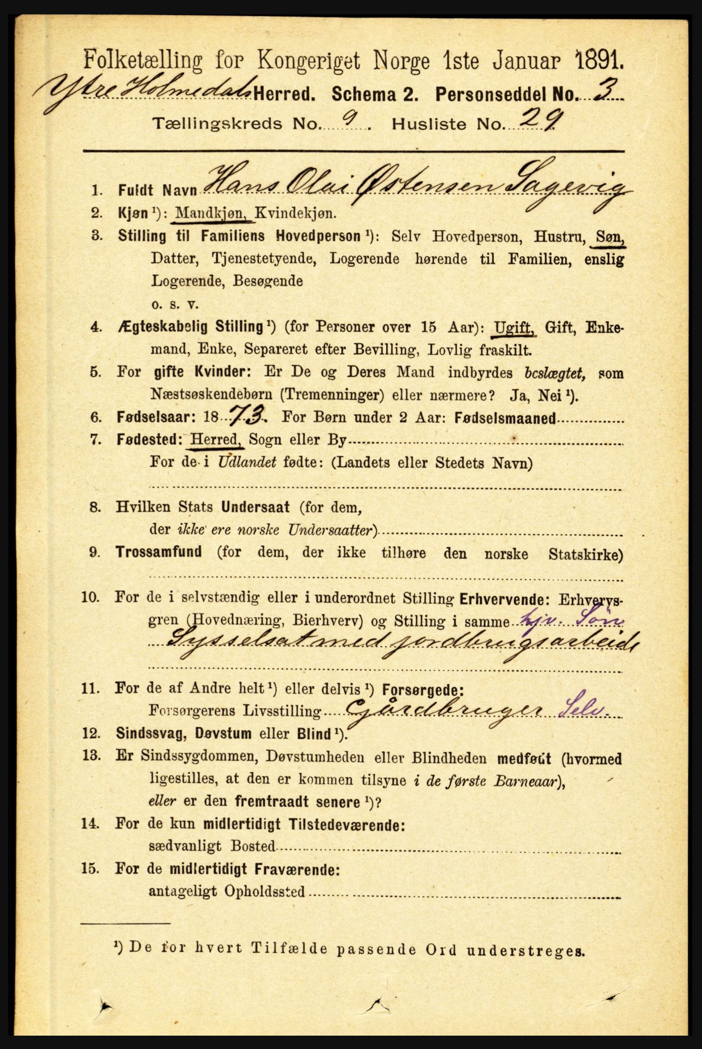 RA, 1891 census for 1429 Ytre Holmedal, 1891, p. 2220