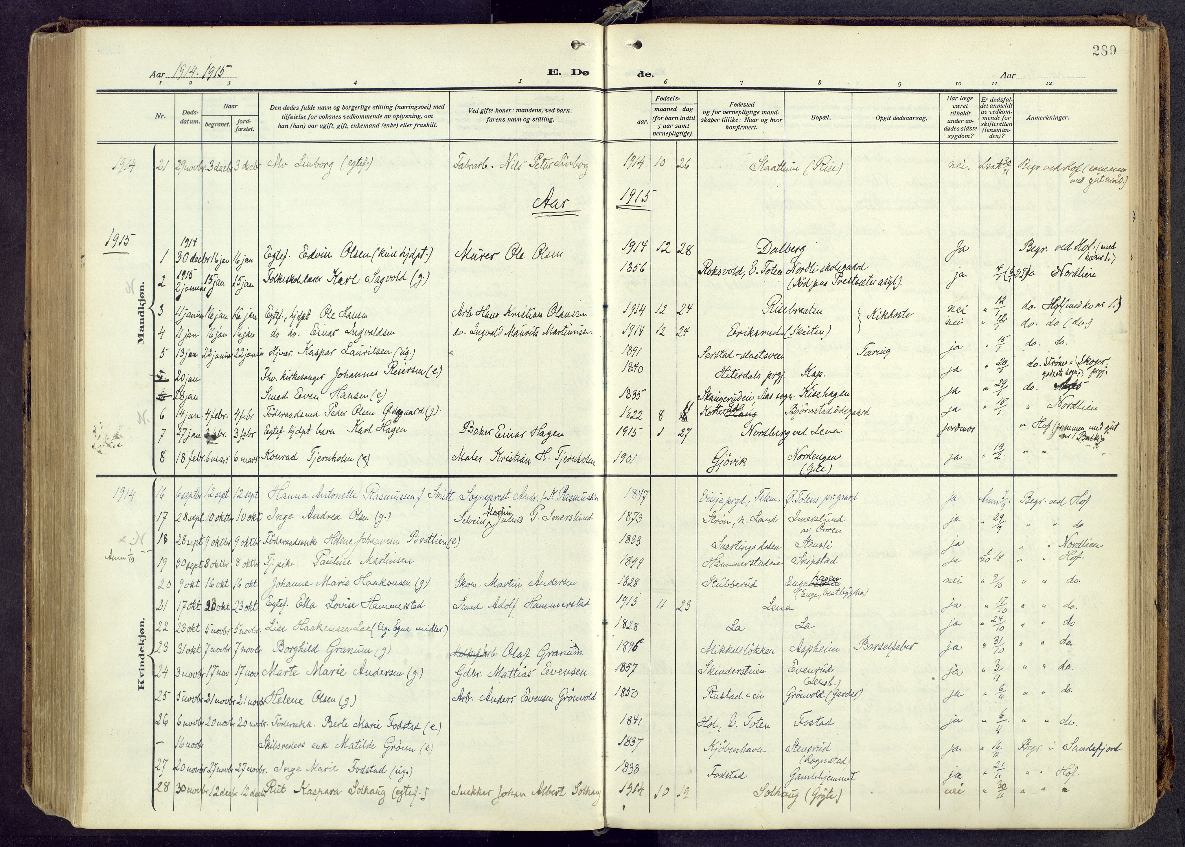 Østre Toten prestekontor, AV/SAH-PREST-104/H/Ha/Haa/L0010: Parish register (official) no. 10, 1910-1920, p. 289