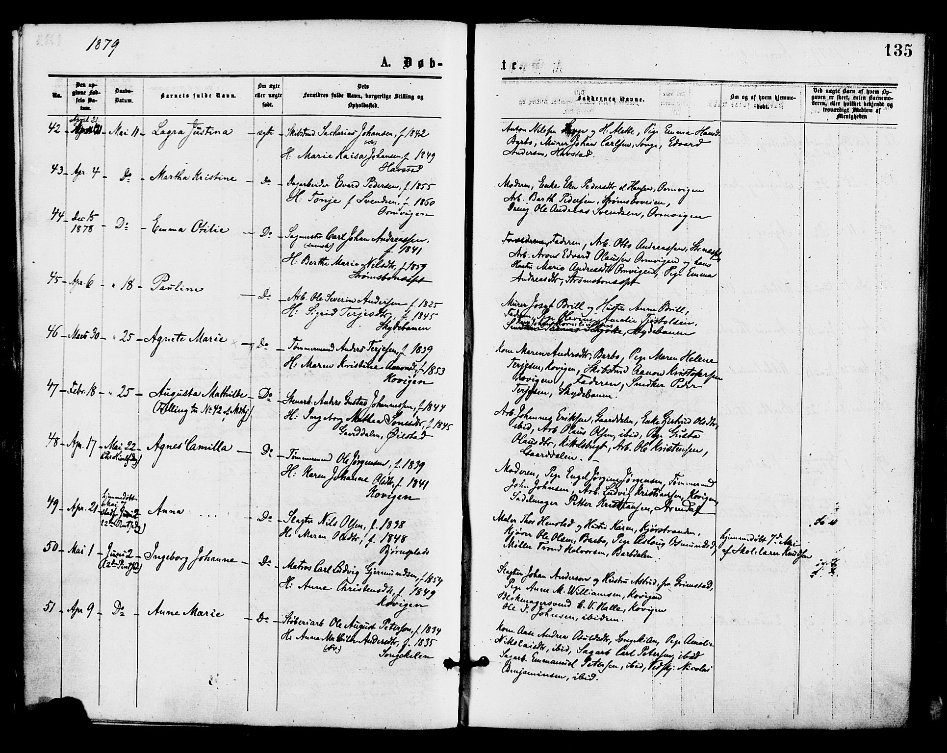 Barbu sokneprestkontor, AV/SAK-1111-0003/F/Fa/L0001: Parish register (official) no. A 1 /1, 1878-1883, p. 135