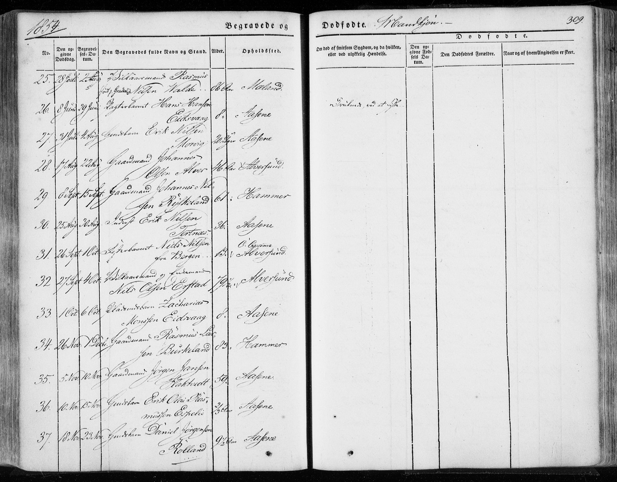 Hamre sokneprestembete, AV/SAB-A-75501/H/Ha/Haa/Haaa/L0013: Parish register (official) no. A 13, 1846-1857, p. 309