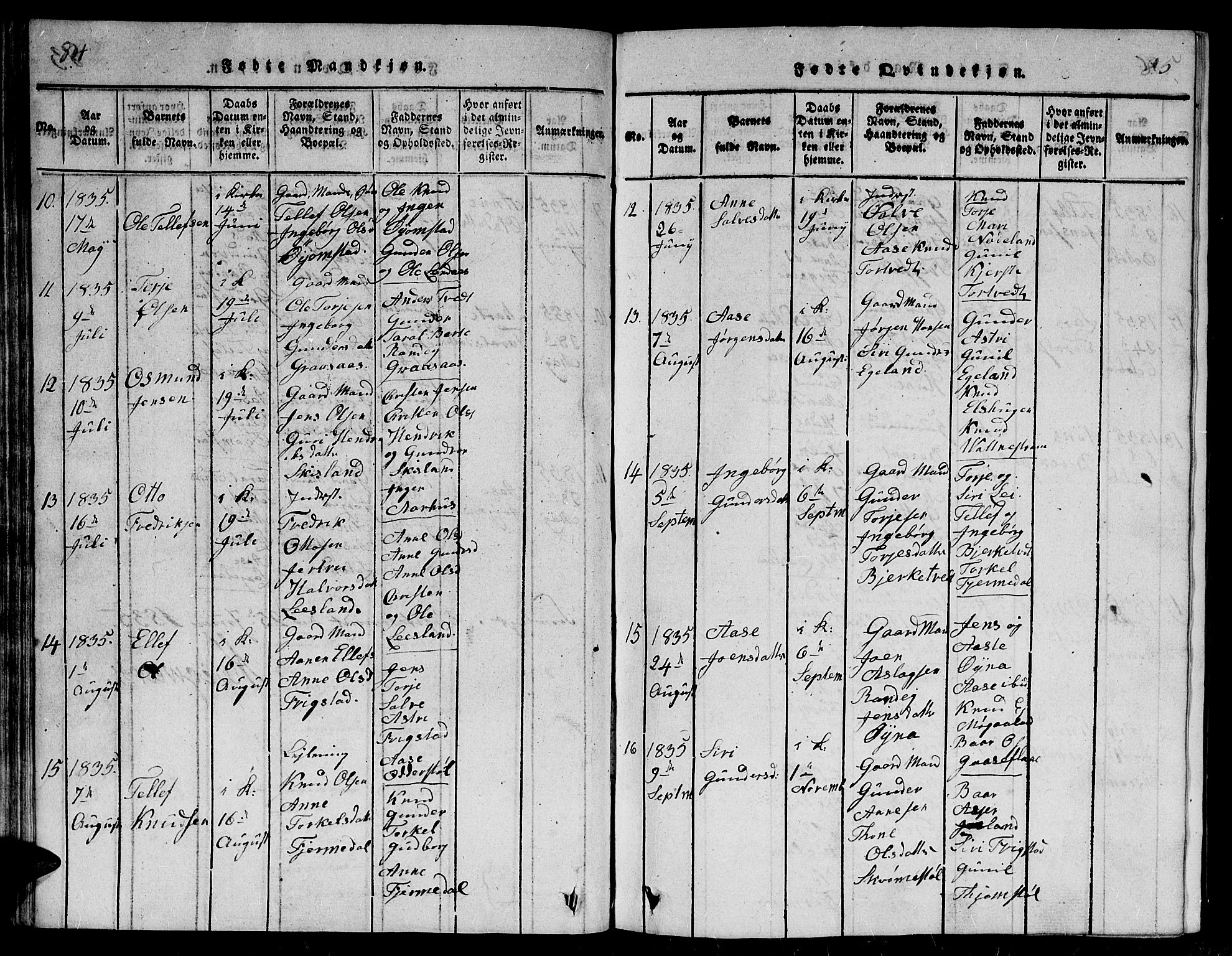 Evje sokneprestkontor, AV/SAK-1111-0008/F/Fb/Fbc/L0001: Parish register (copy) no. B 1, 1816-1836, p. 84-85