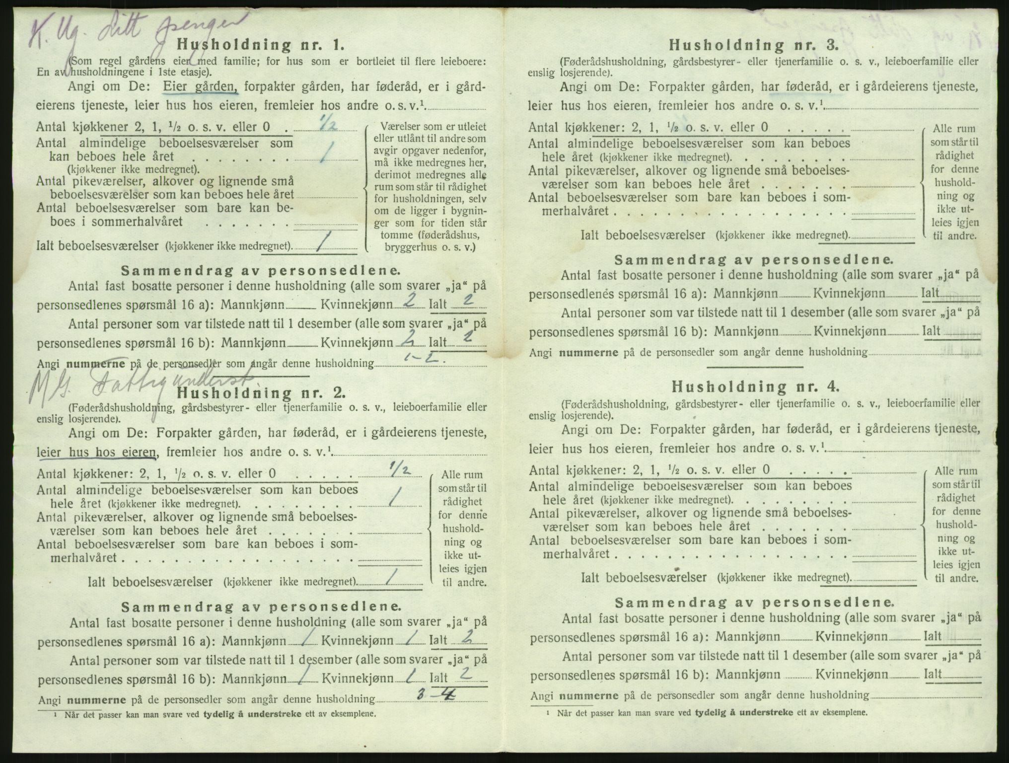 SAKO, 1920 census for Brunlanes, 1920, p. 302