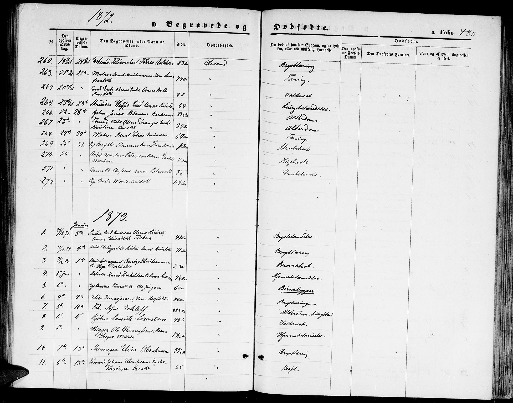 Kristiansand domprosti, SAK/1112-0006/F/Fb/L0013: Parish register (copy) no. B 13, 1871-1880, p. 480