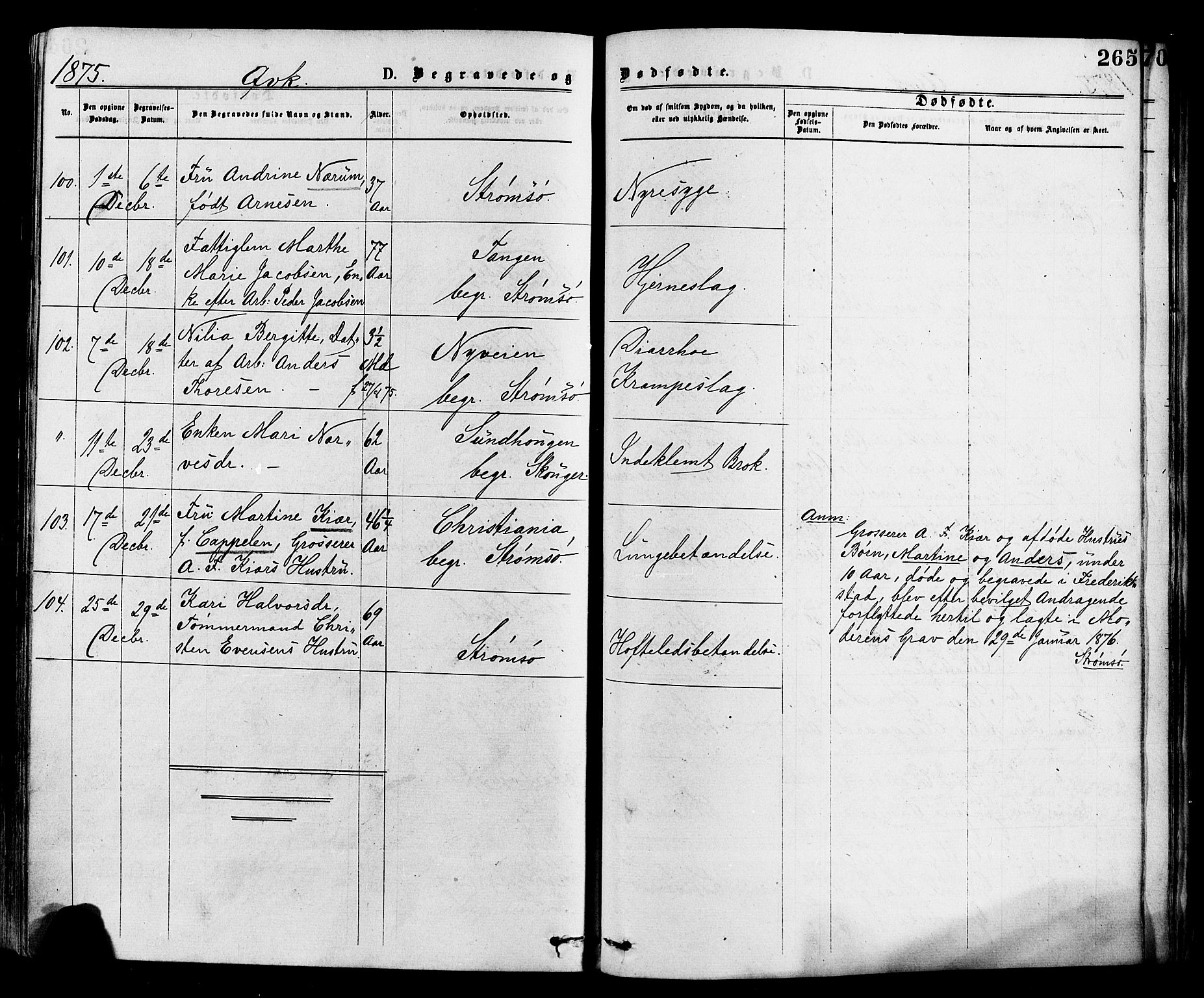 Strømsø kirkebøker, AV/SAKO-A-246/F/Fa/L0019: Parish register (official) no. I 19, 1874-1877, p. 265
